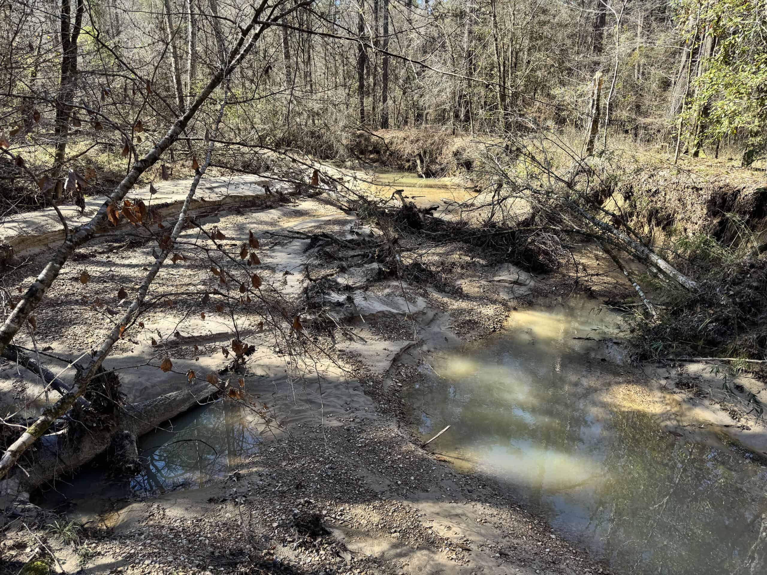 600 Acres Claiborne County Hunting Land Timber Investment