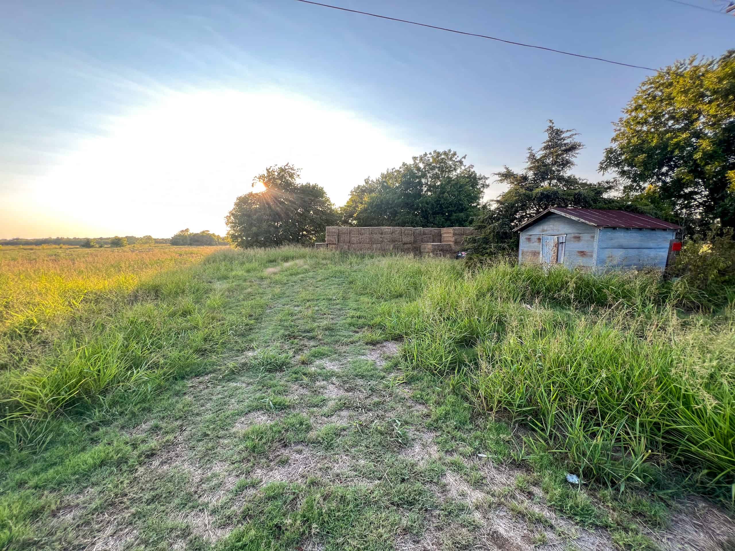 Pasture and Ranch Land For Sale in NE TX