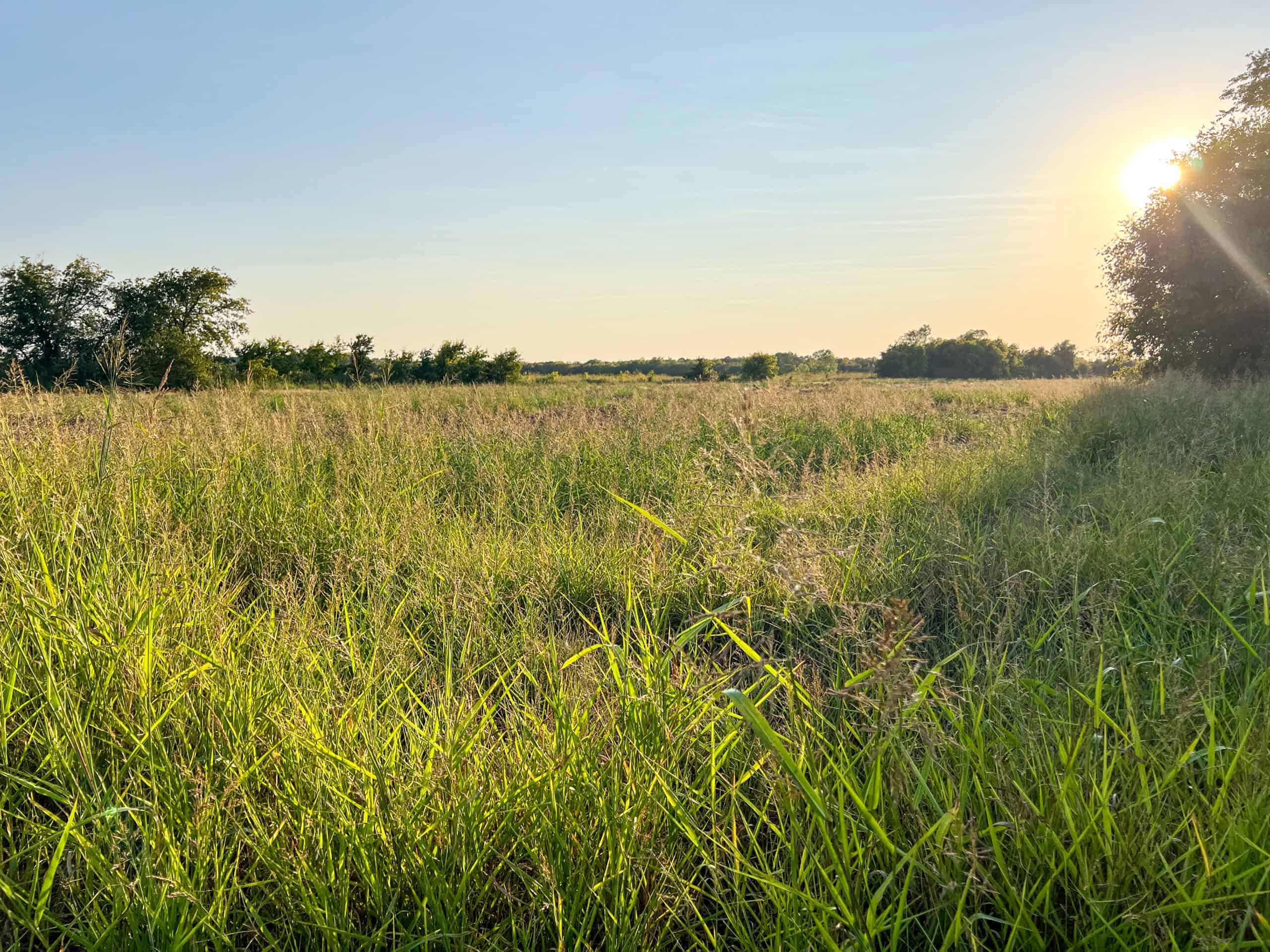 Pasture and Ranch Land For Sale in NE TX