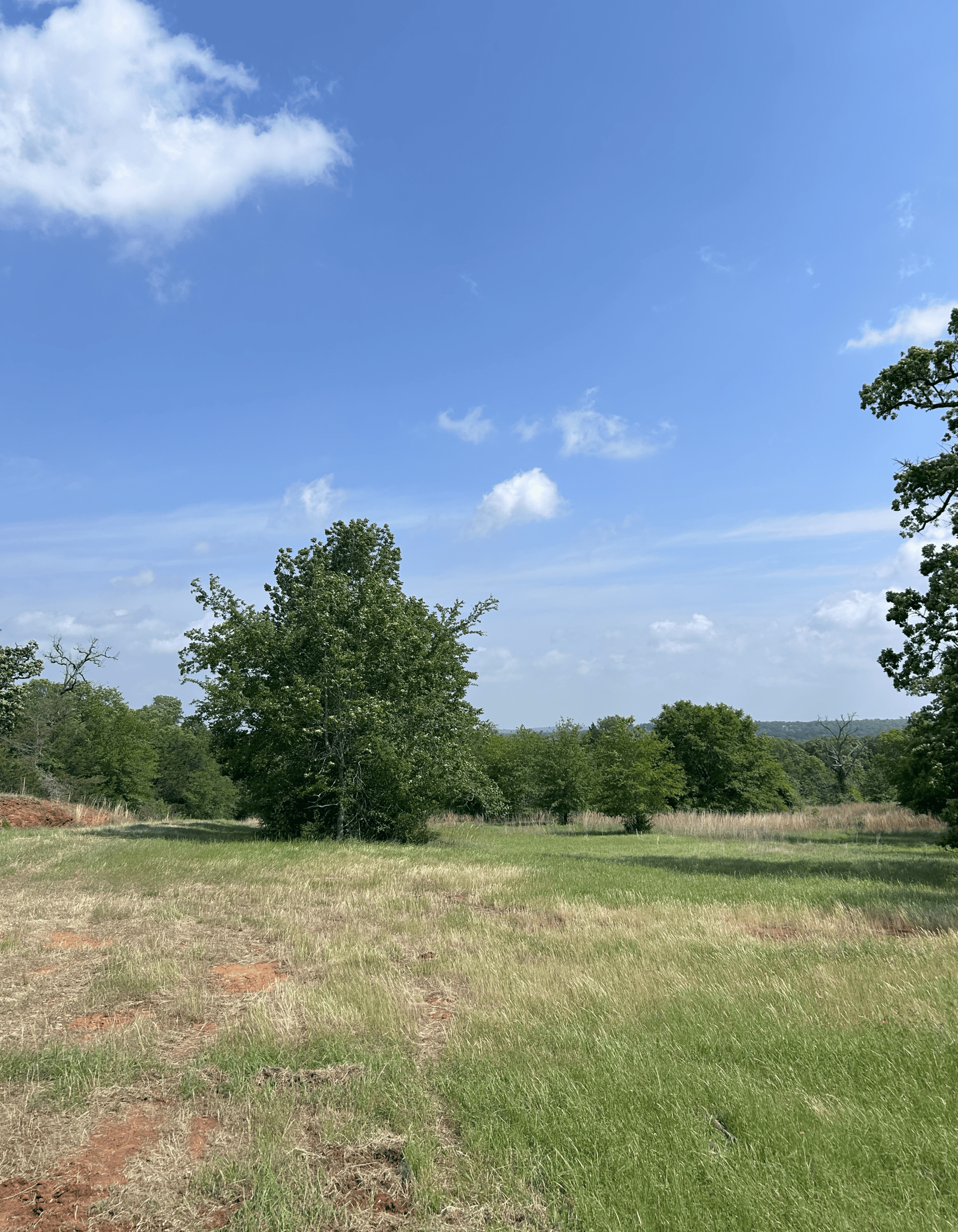 92+ Acre Hunting & Recreational Tract in Leon County, TX