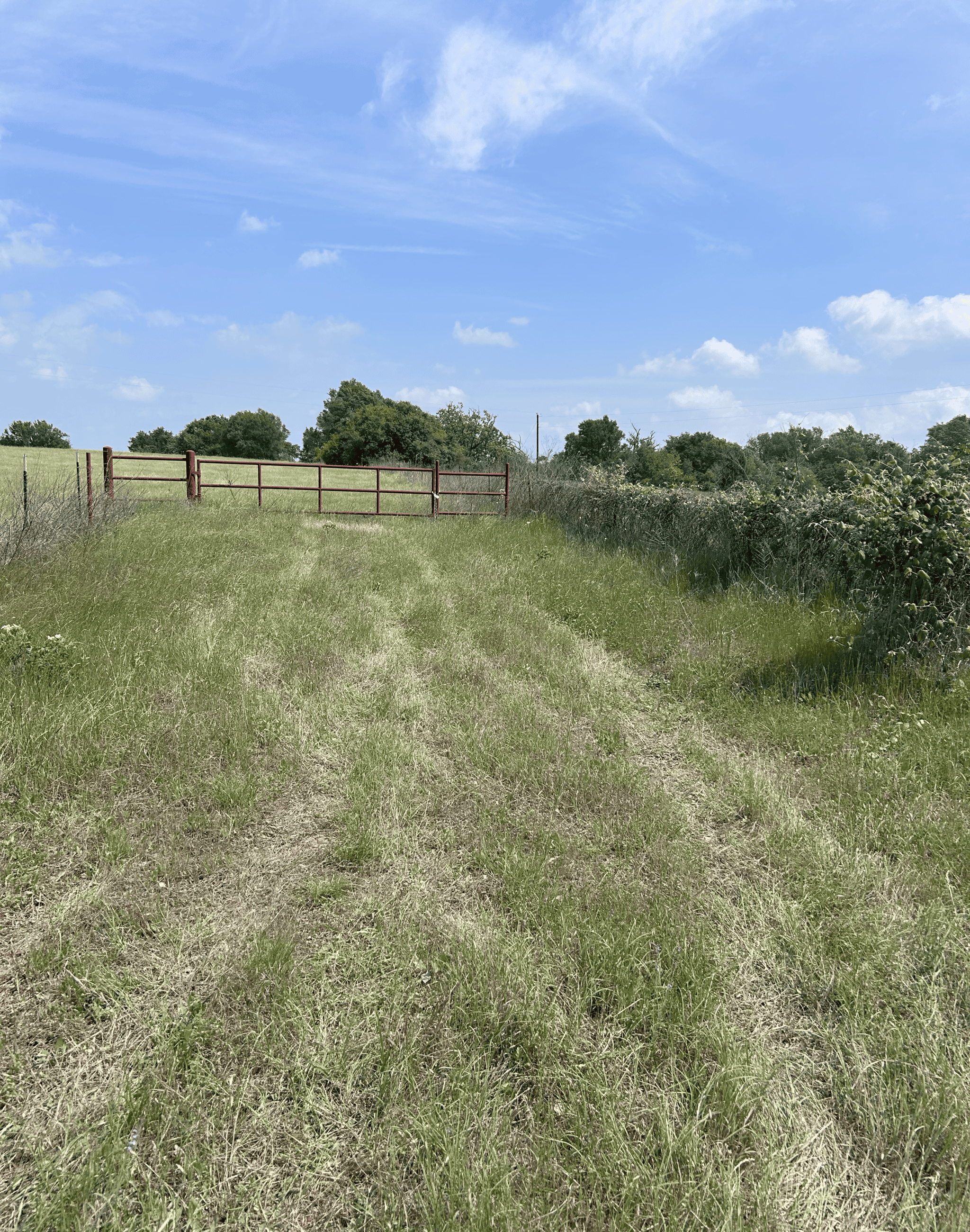 92+ Acre Hunting & Recreational Tract in Leon County, TX
