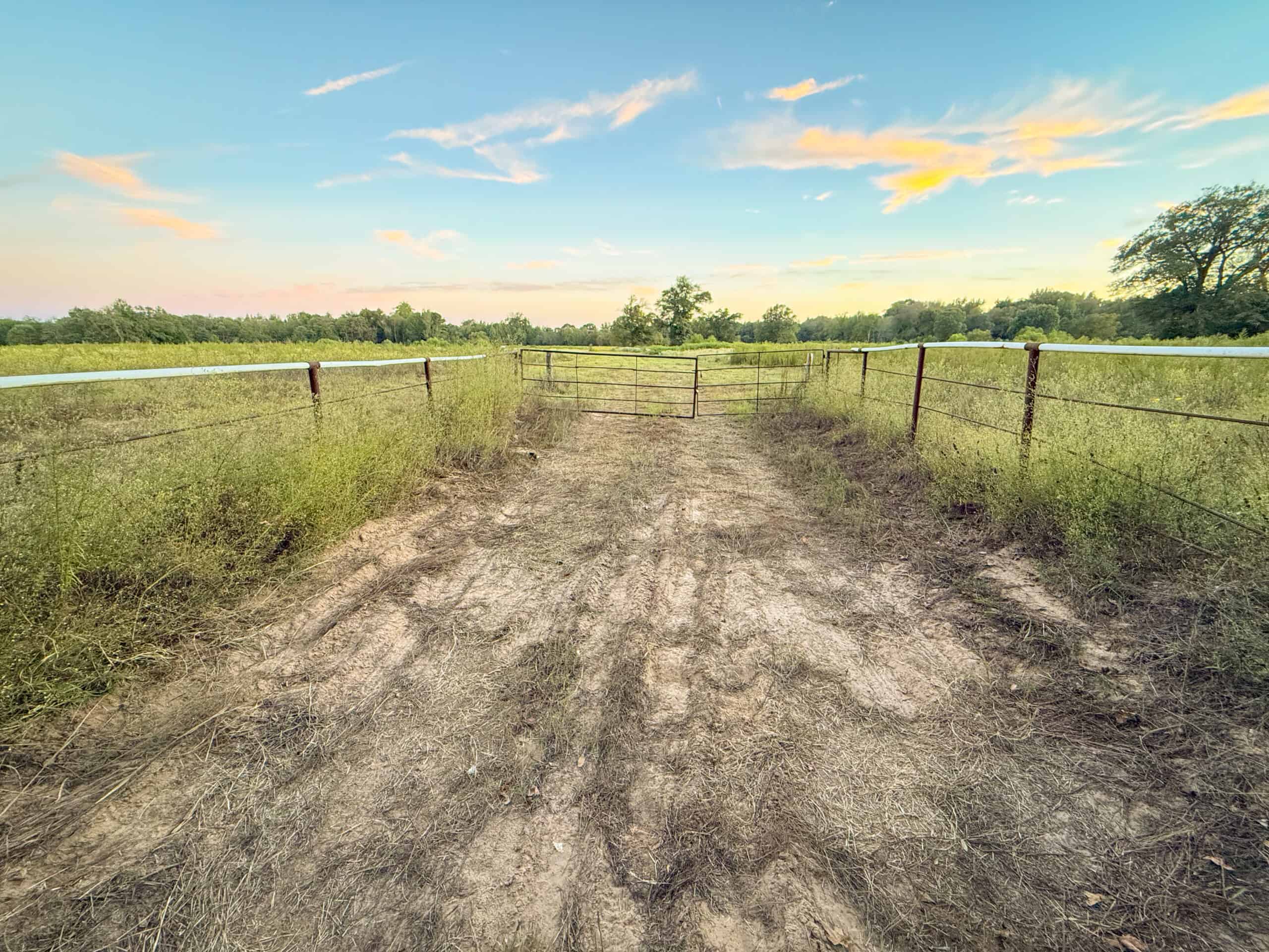Recreational Hunting Land Winnsboro TX