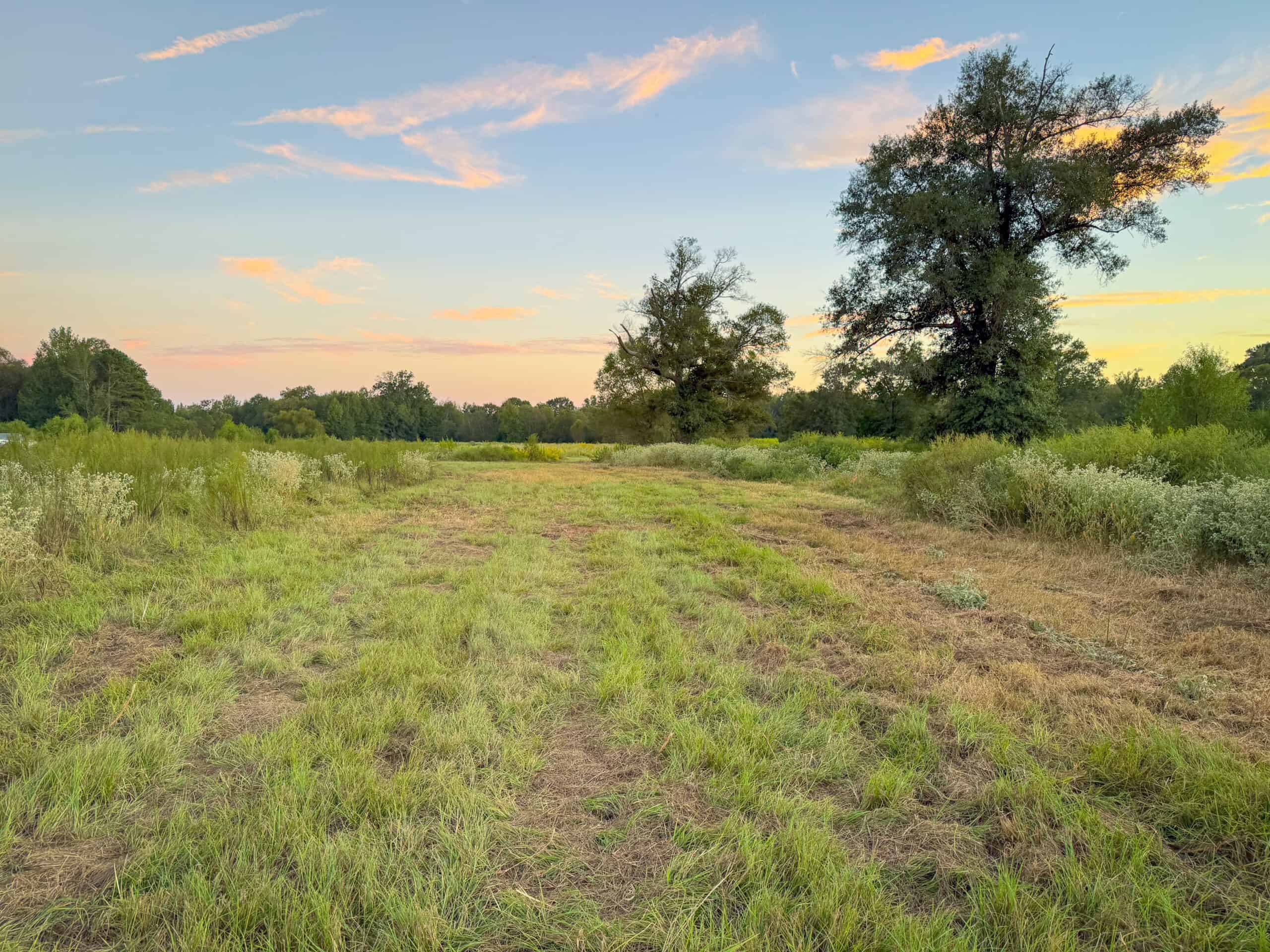Recreational Hunting Land Winnsboro TX