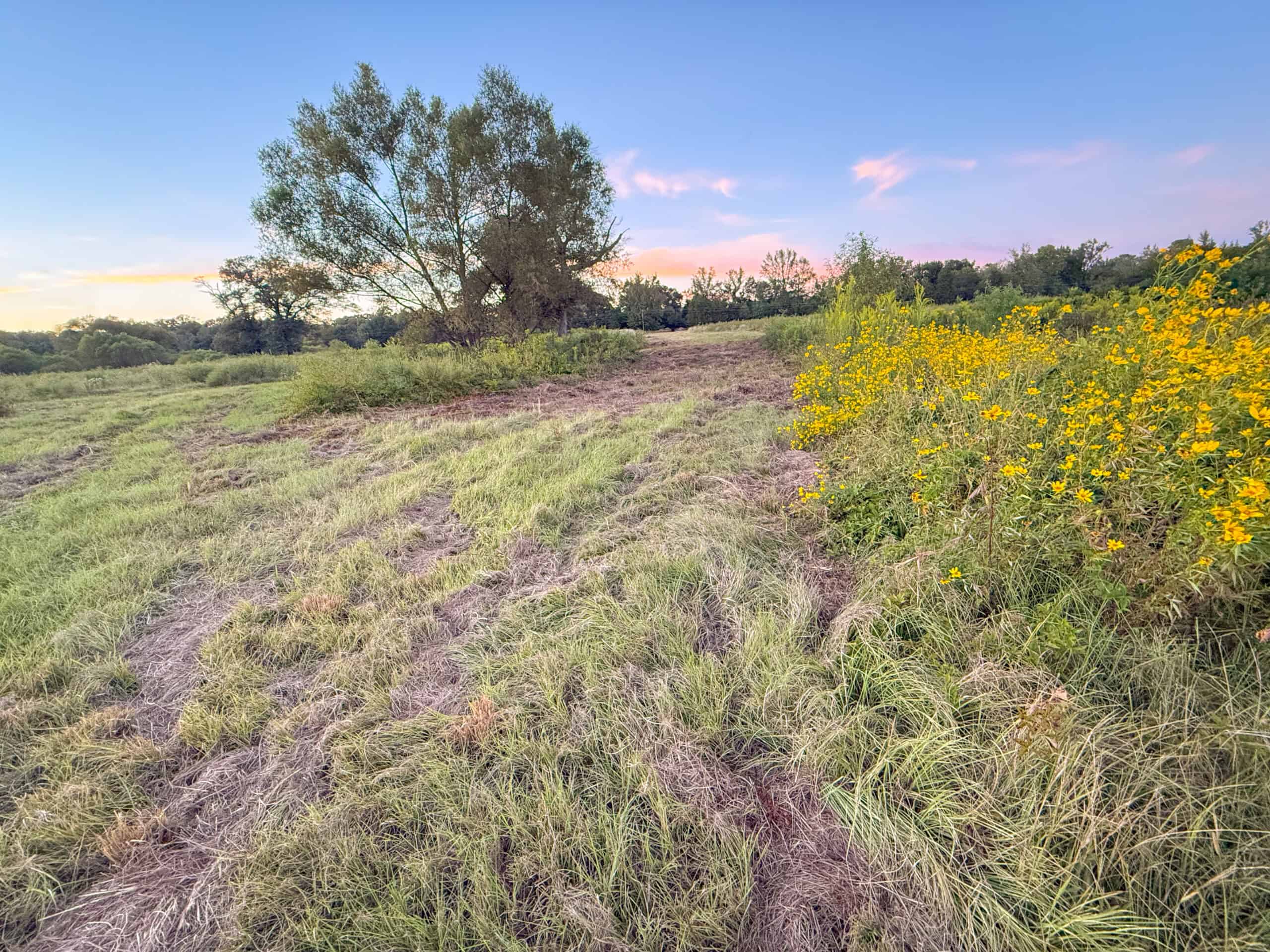Recreational Hunting Land Winnsboro TX