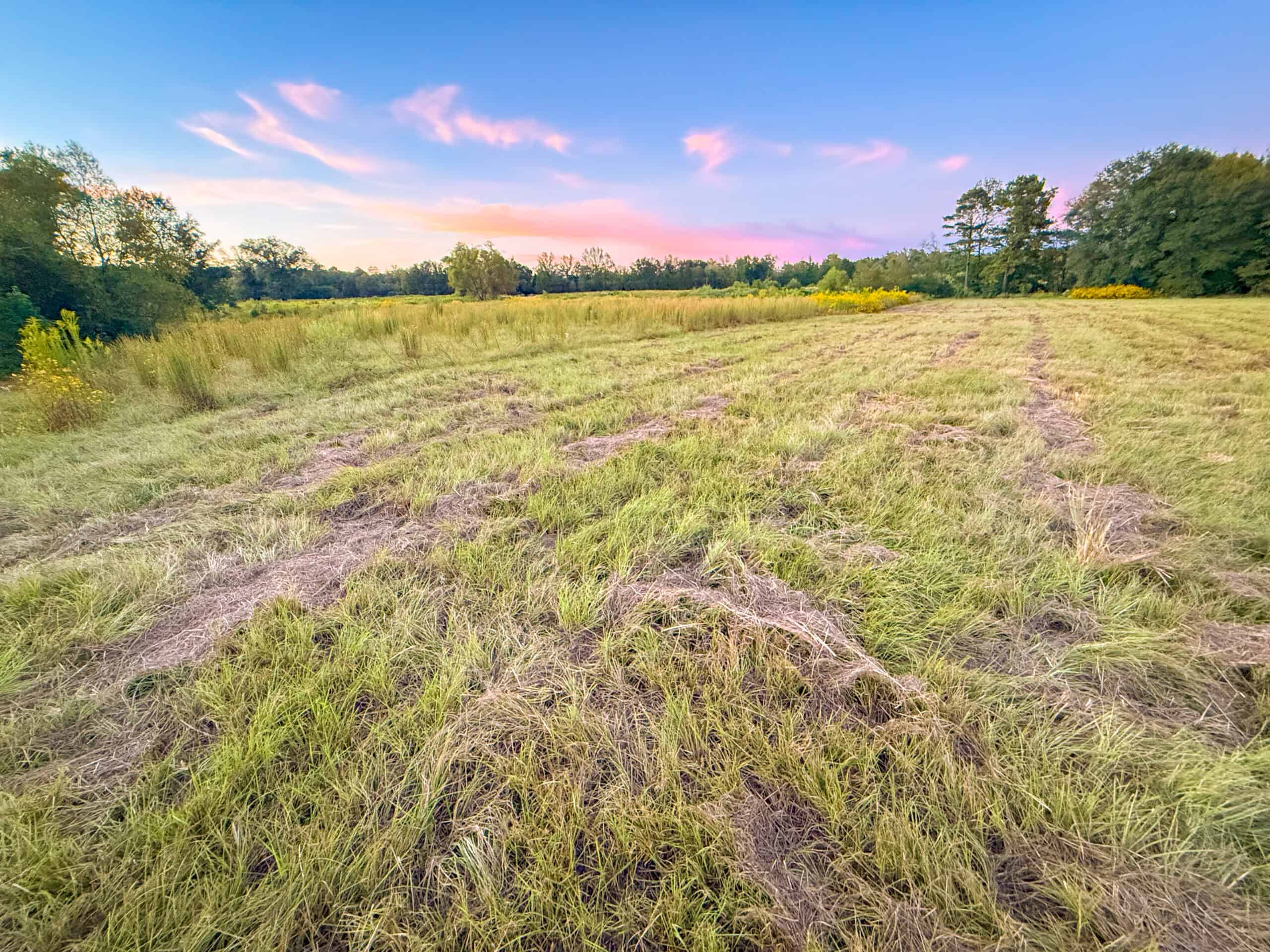 Recreational Hunting Land Winnsboro TX