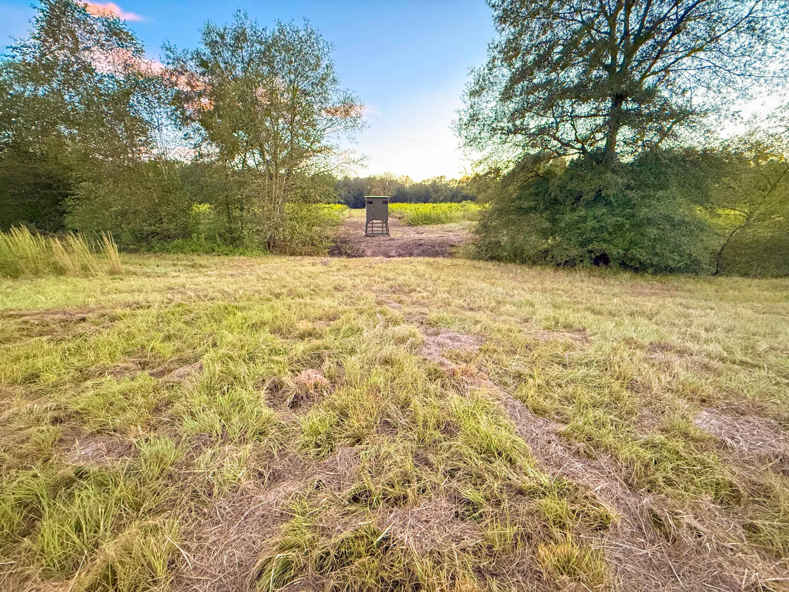 Recreational Hunting Land Winnsboro TX