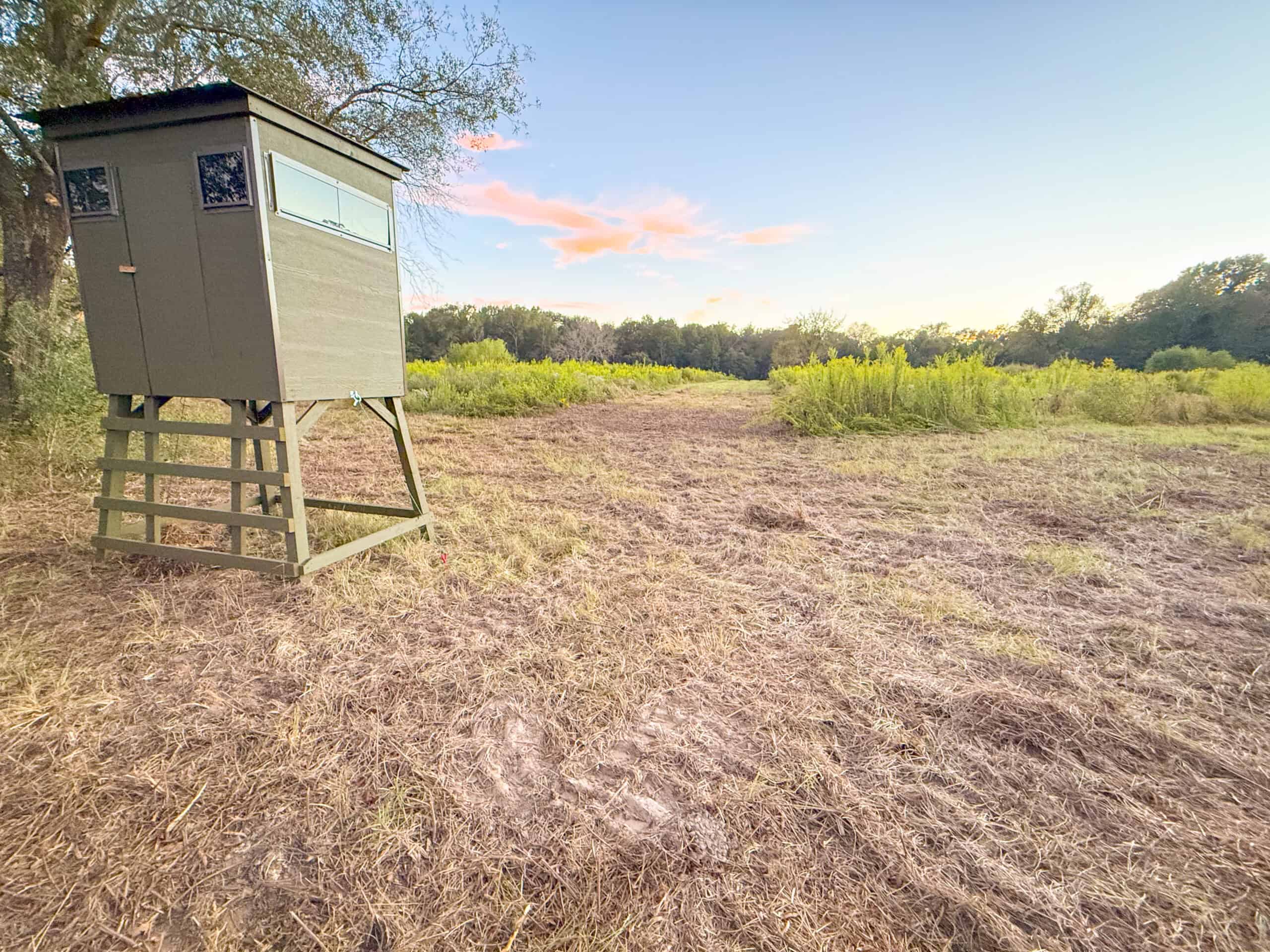 Recreational Hunting Land Winnsboro TX