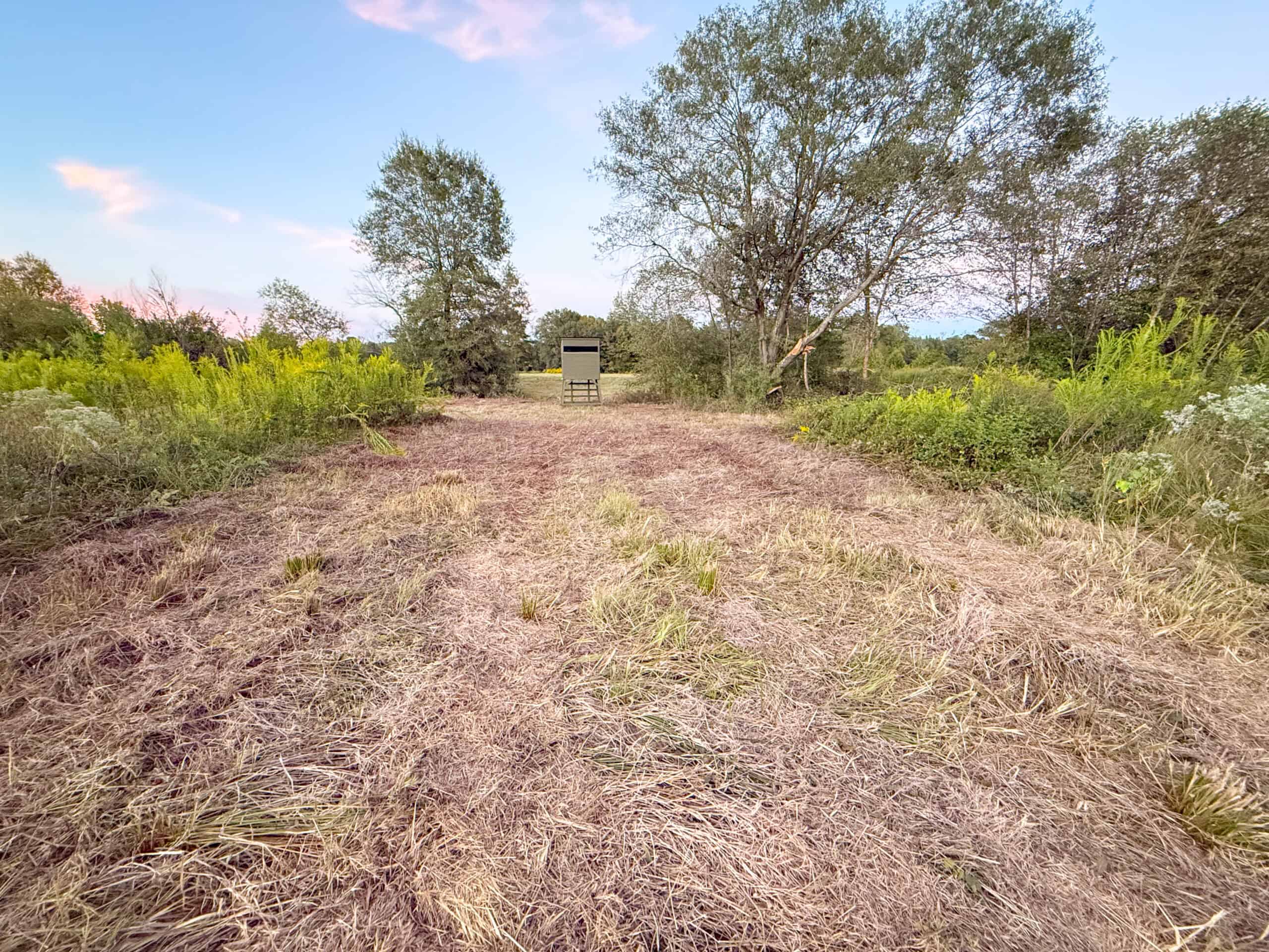 Recreational Hunting Land Winnsboro TX