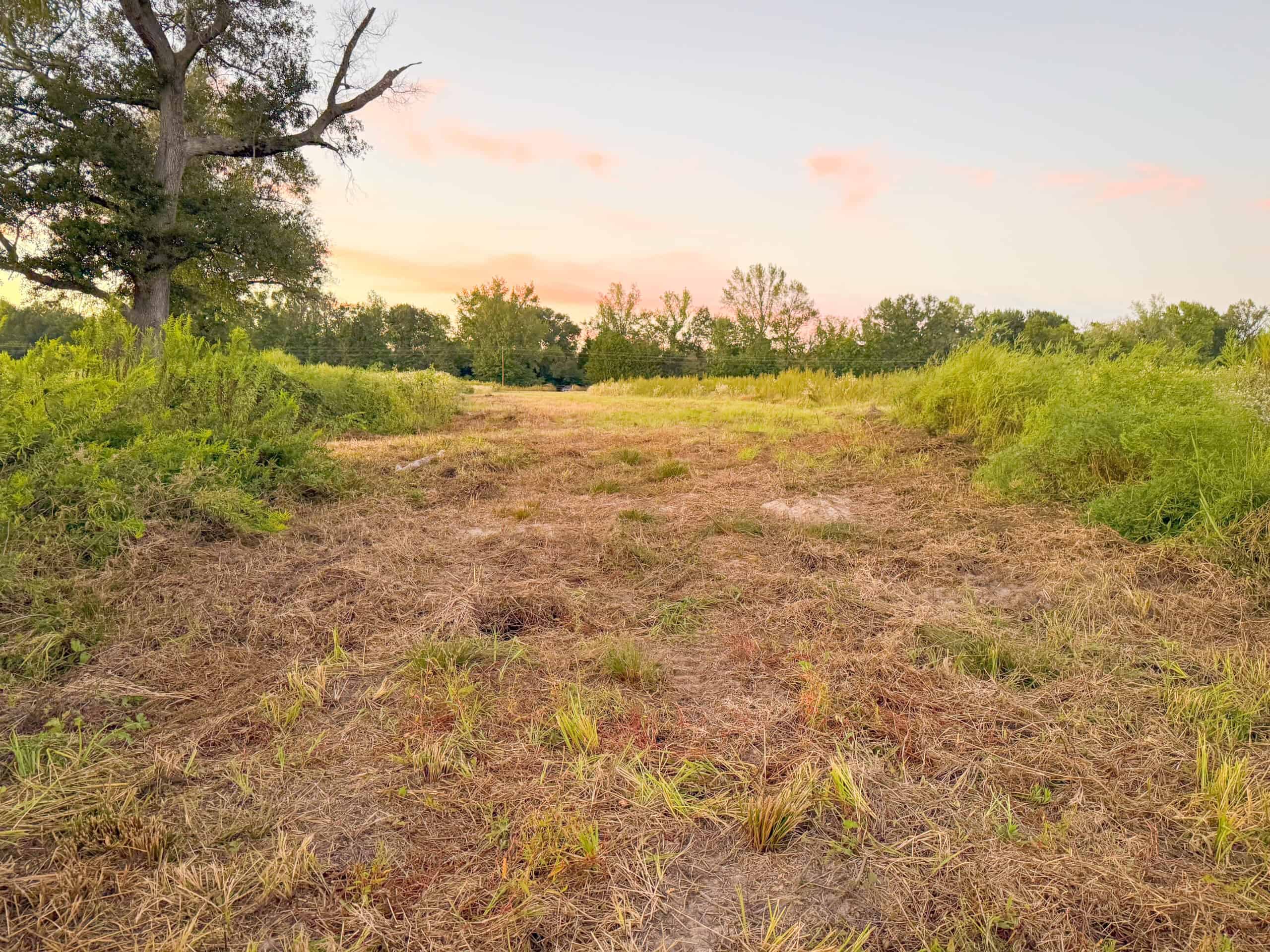 Recreational Hunting Land Winnsboro TX