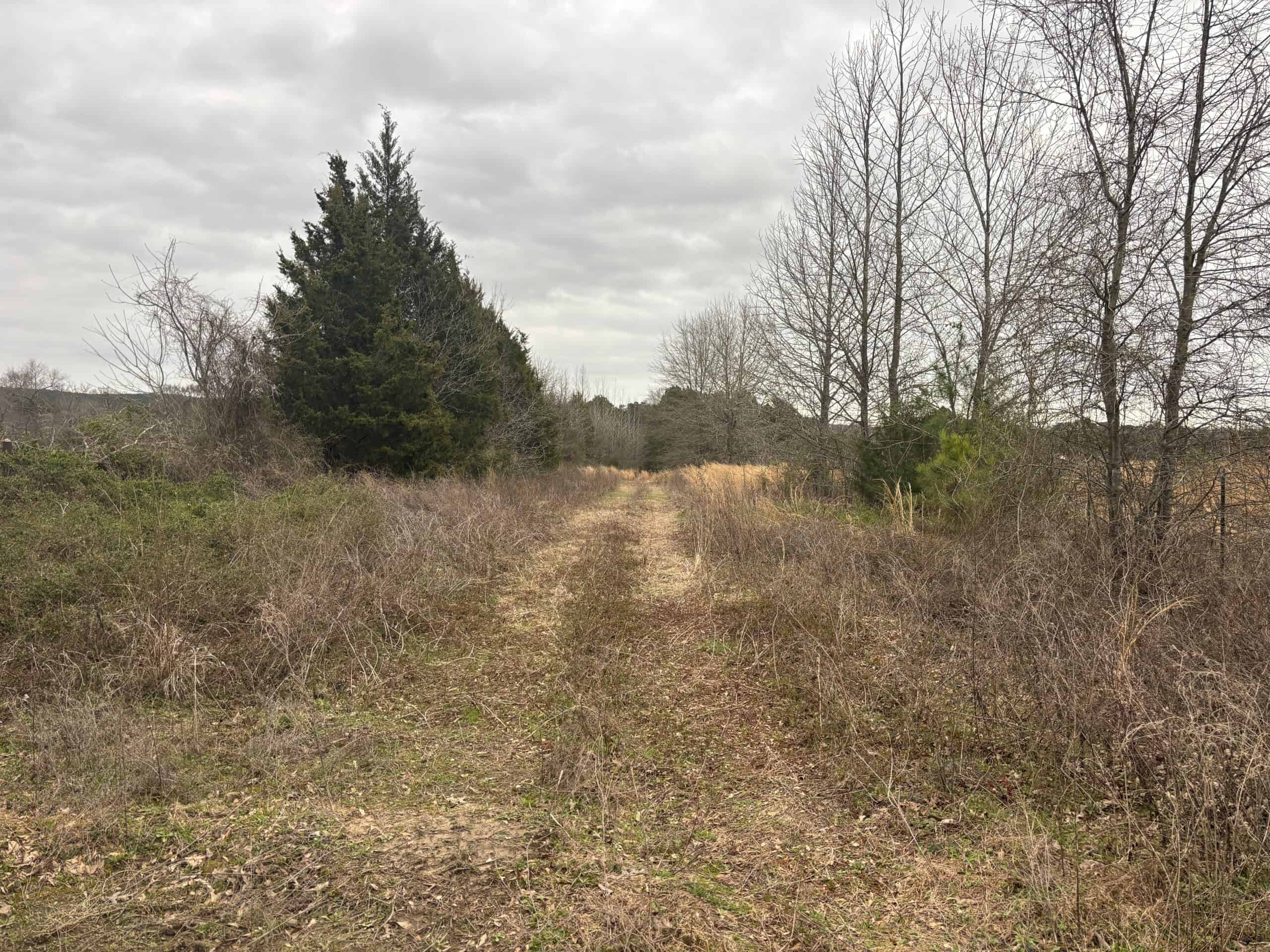 Secluded East Texas Hunting Land – Prime Deer & Waterfowl Property