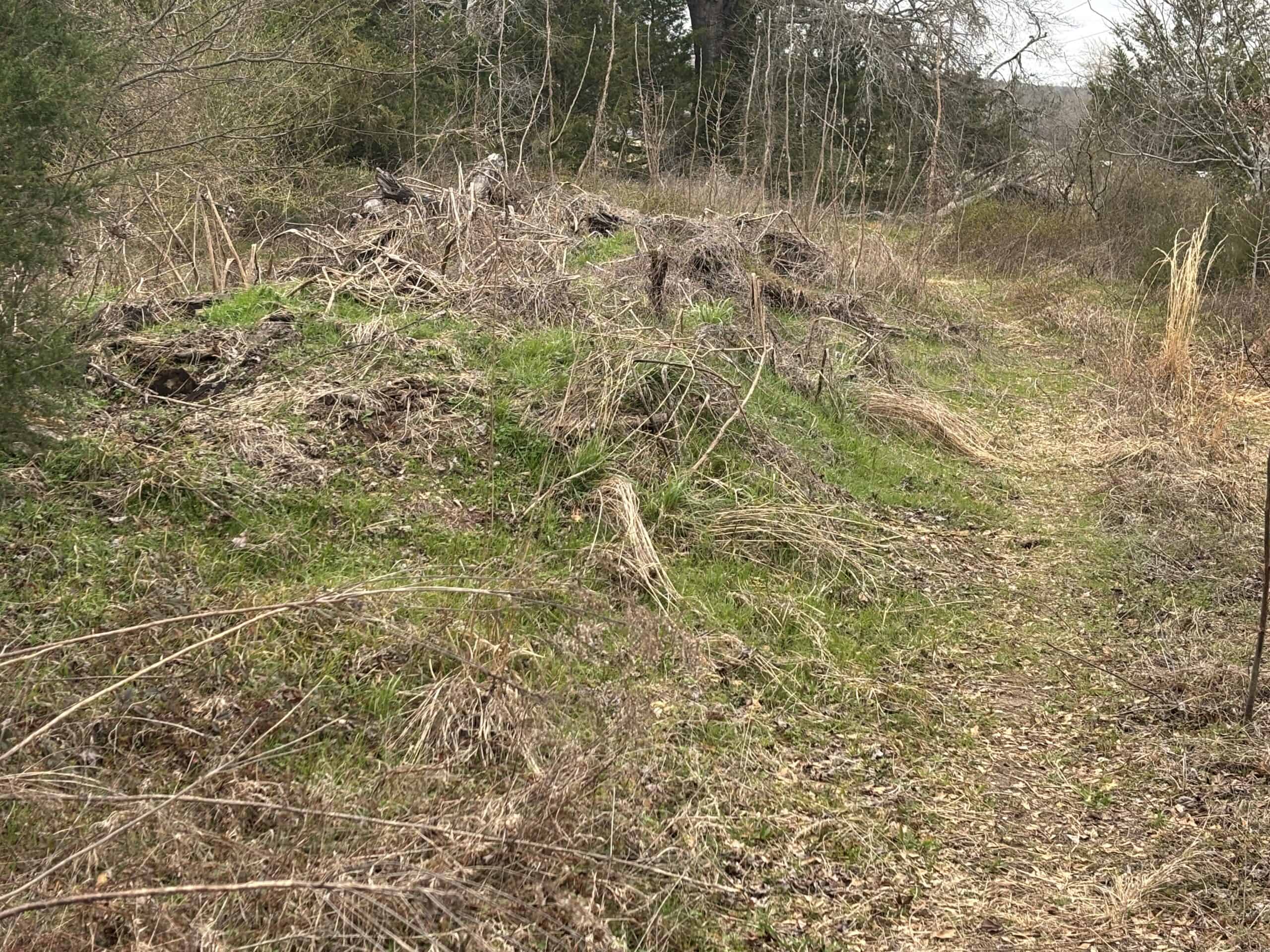 Secluded East Texas Hunting Land – Prime Deer & Waterfowl Property
