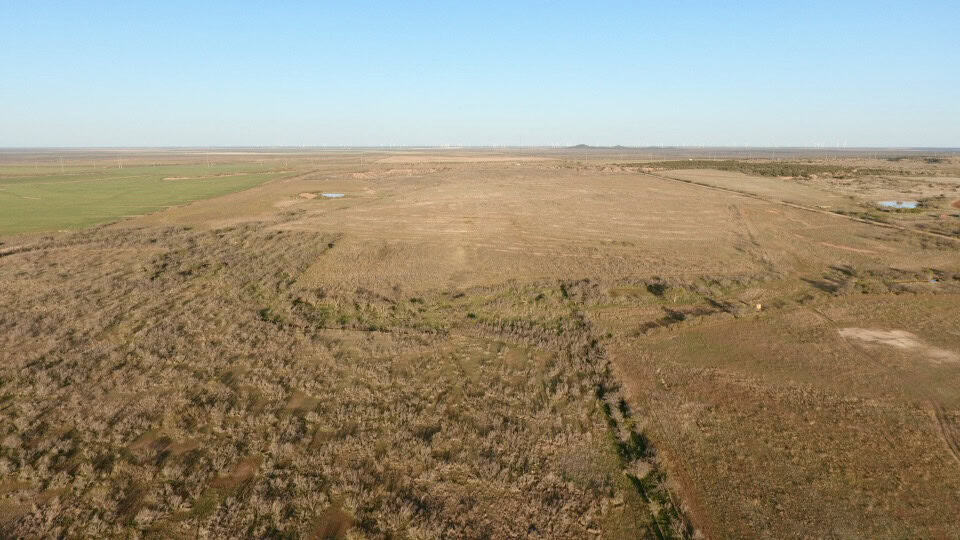 Tranquil Ranch and Hunting Property in Quanah, Texas