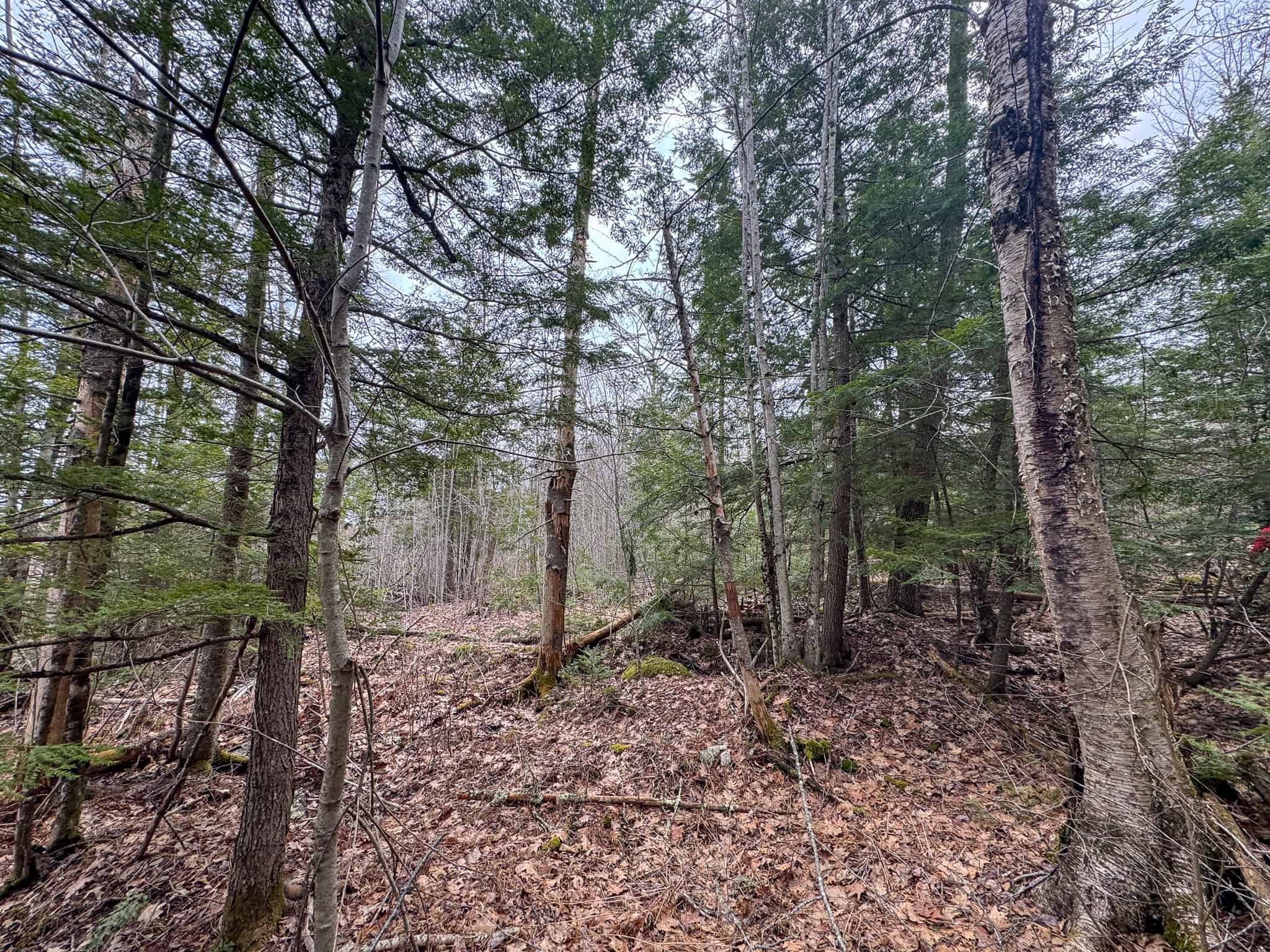 12 Acres with Potential in Monroe, Maine