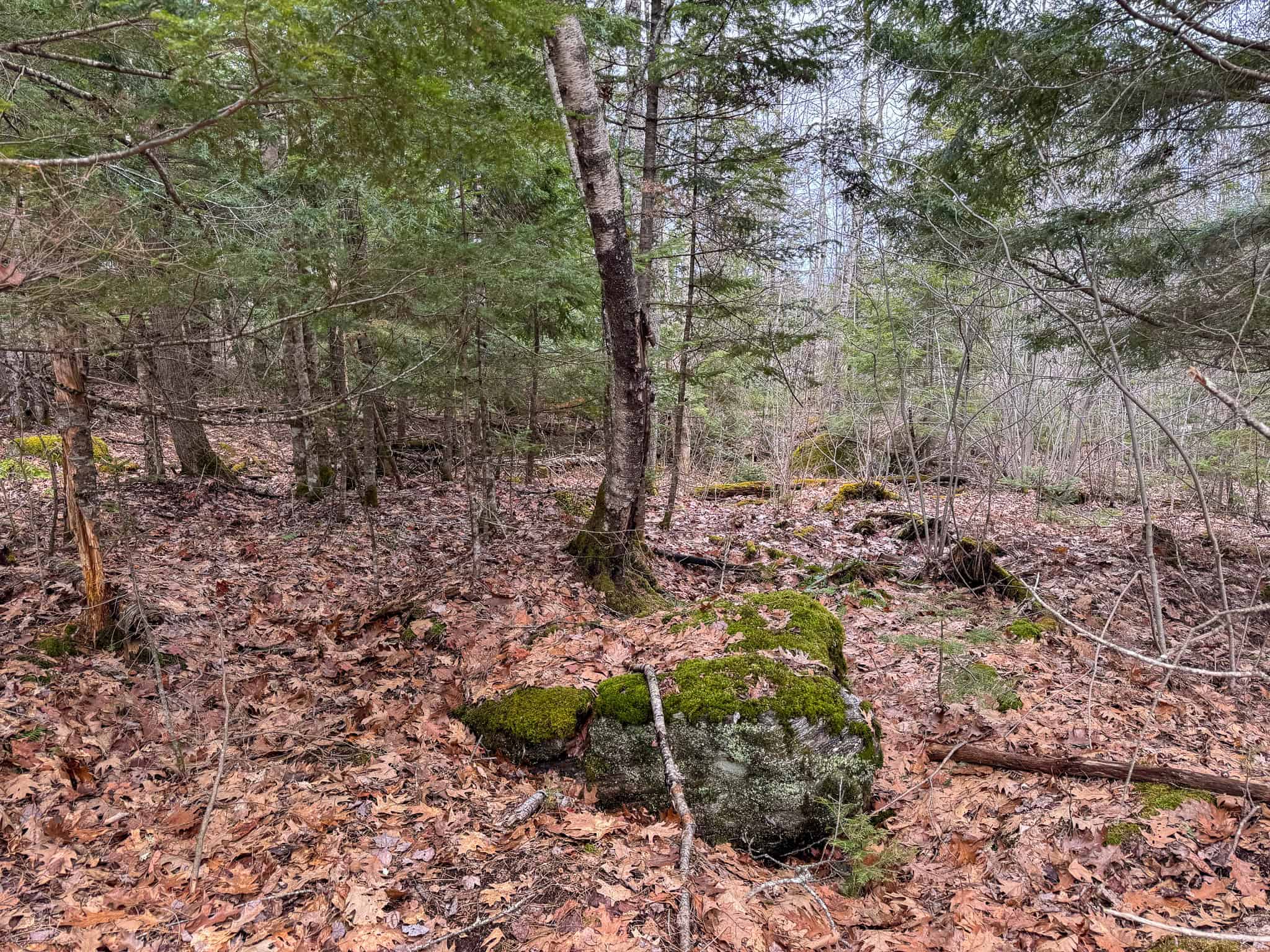 12 Acres with Potential in Monroe, Maine