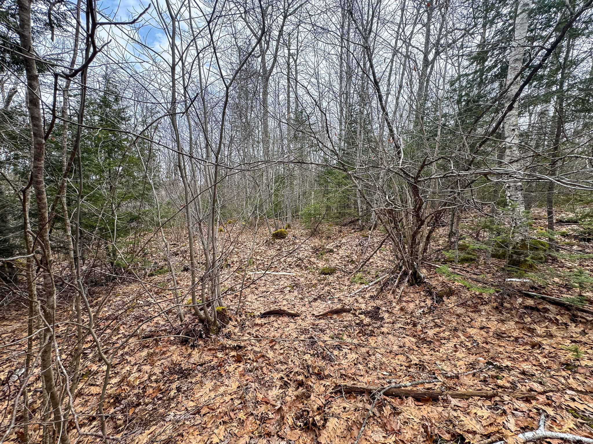 12 Acres with Potential in Monroe, Maine