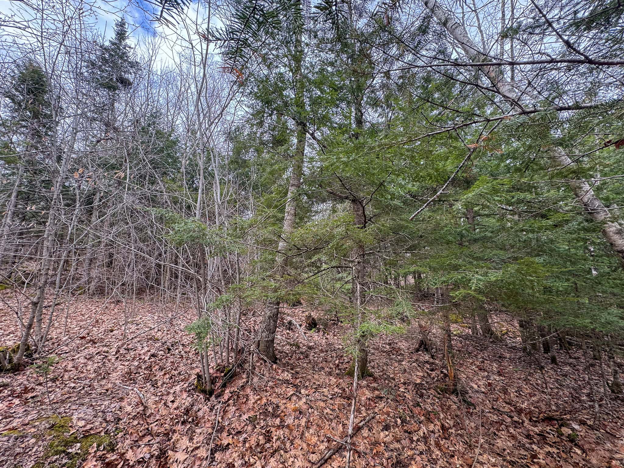 12 Acres with Potential in Monroe, Maine