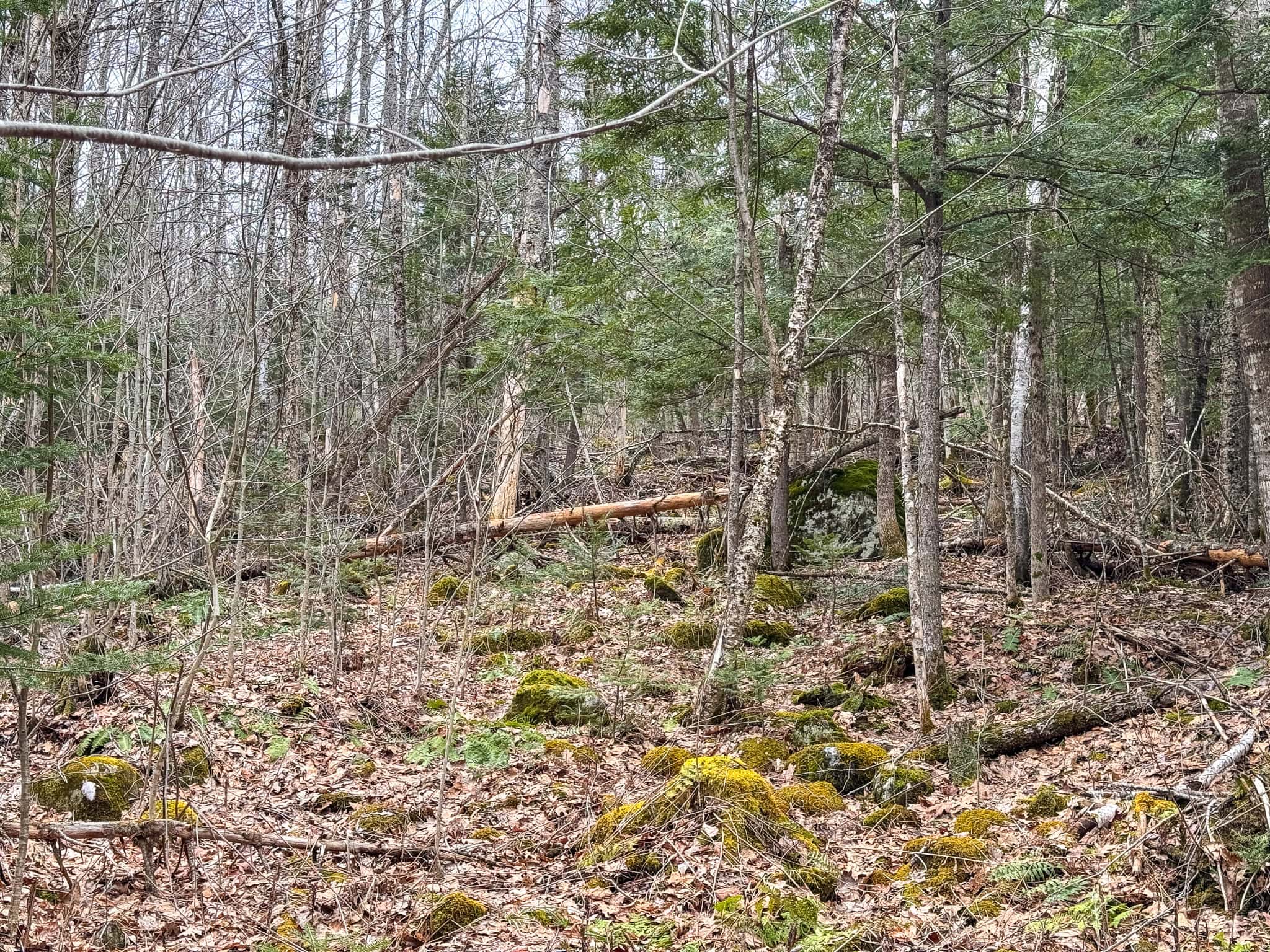 12 Acres with Potential in Monroe, Maine
