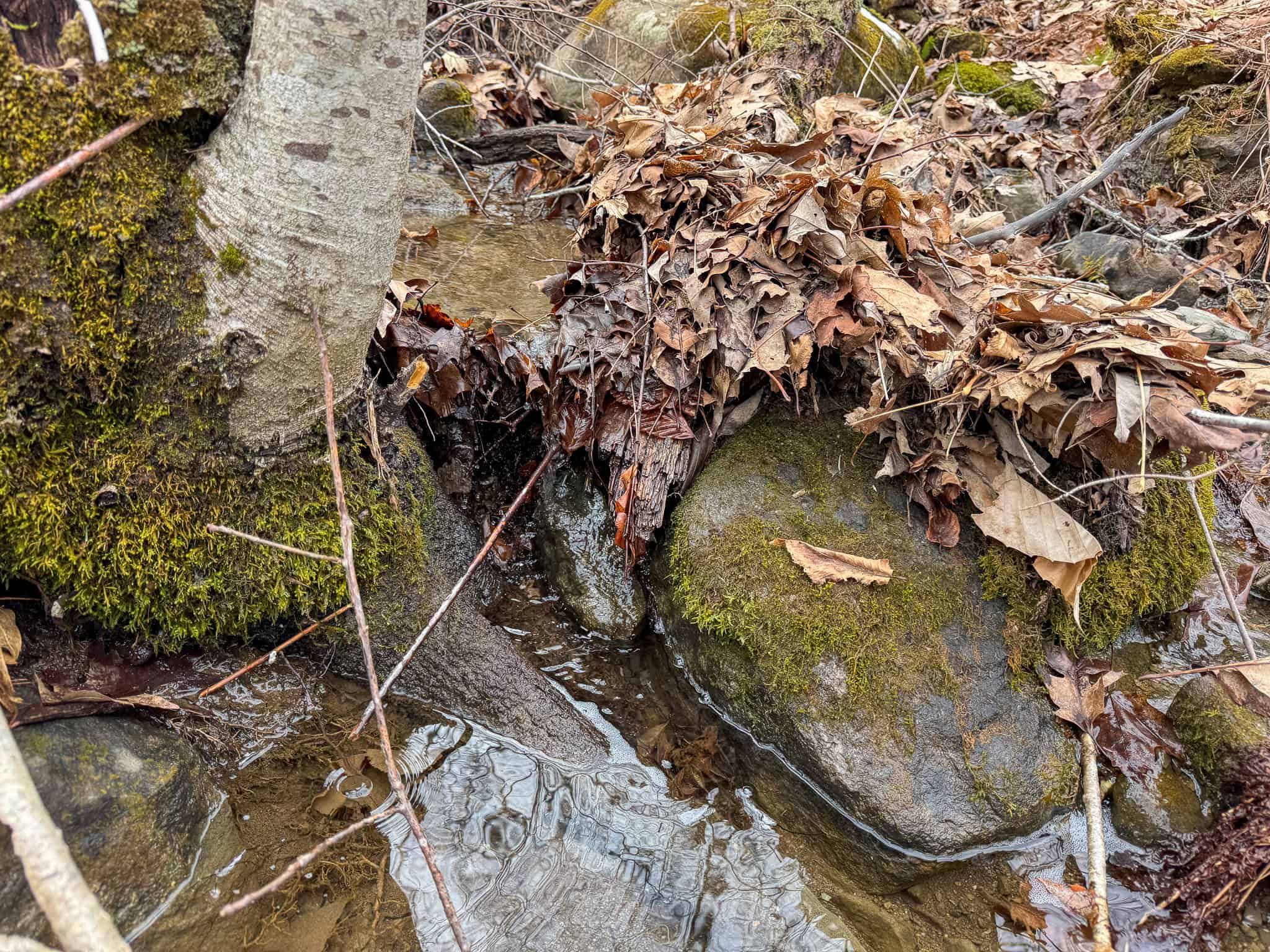 12 Acres with Potential in Monroe, Maine