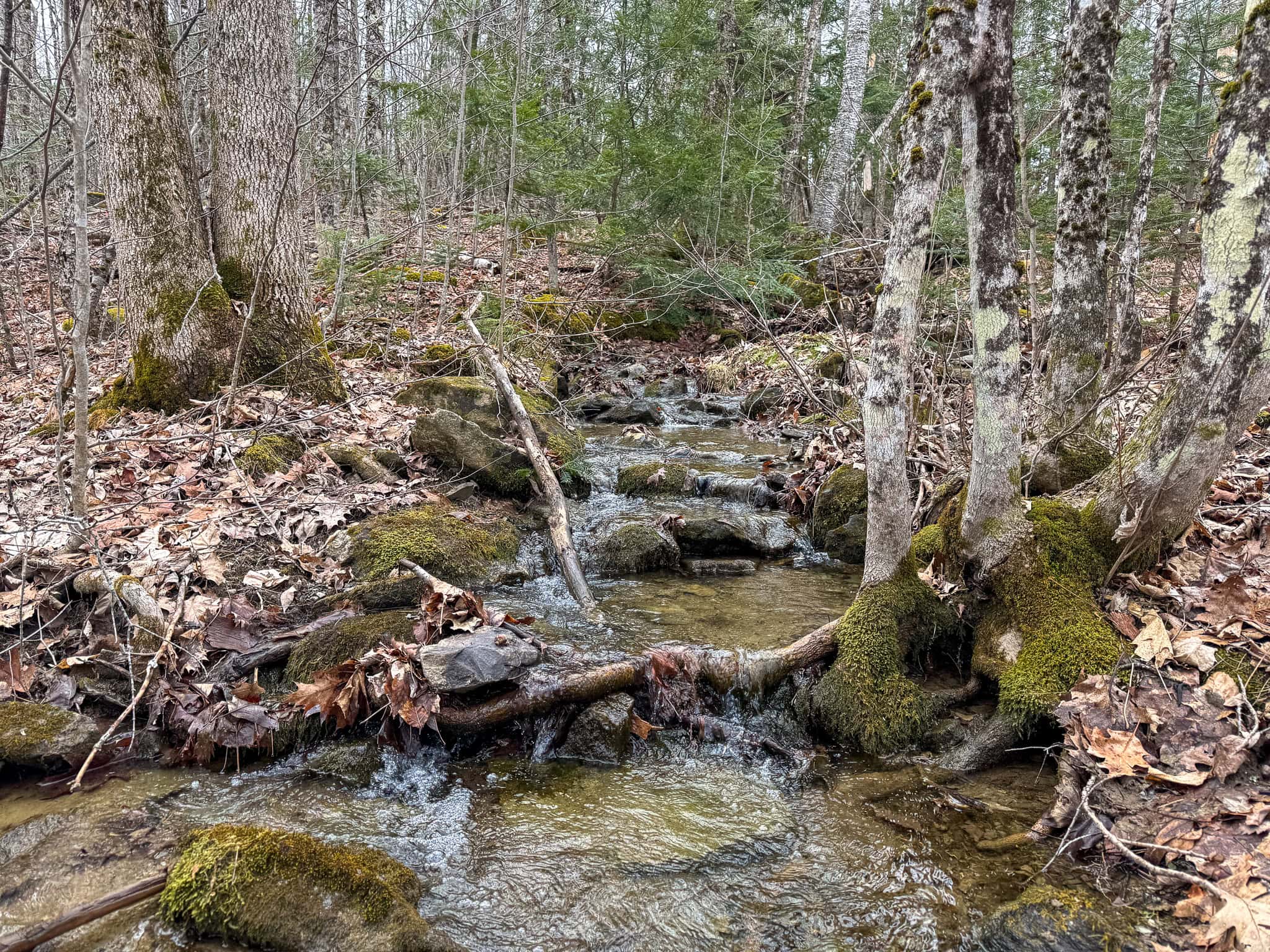 12 Acres with Potential in Monroe, Maine