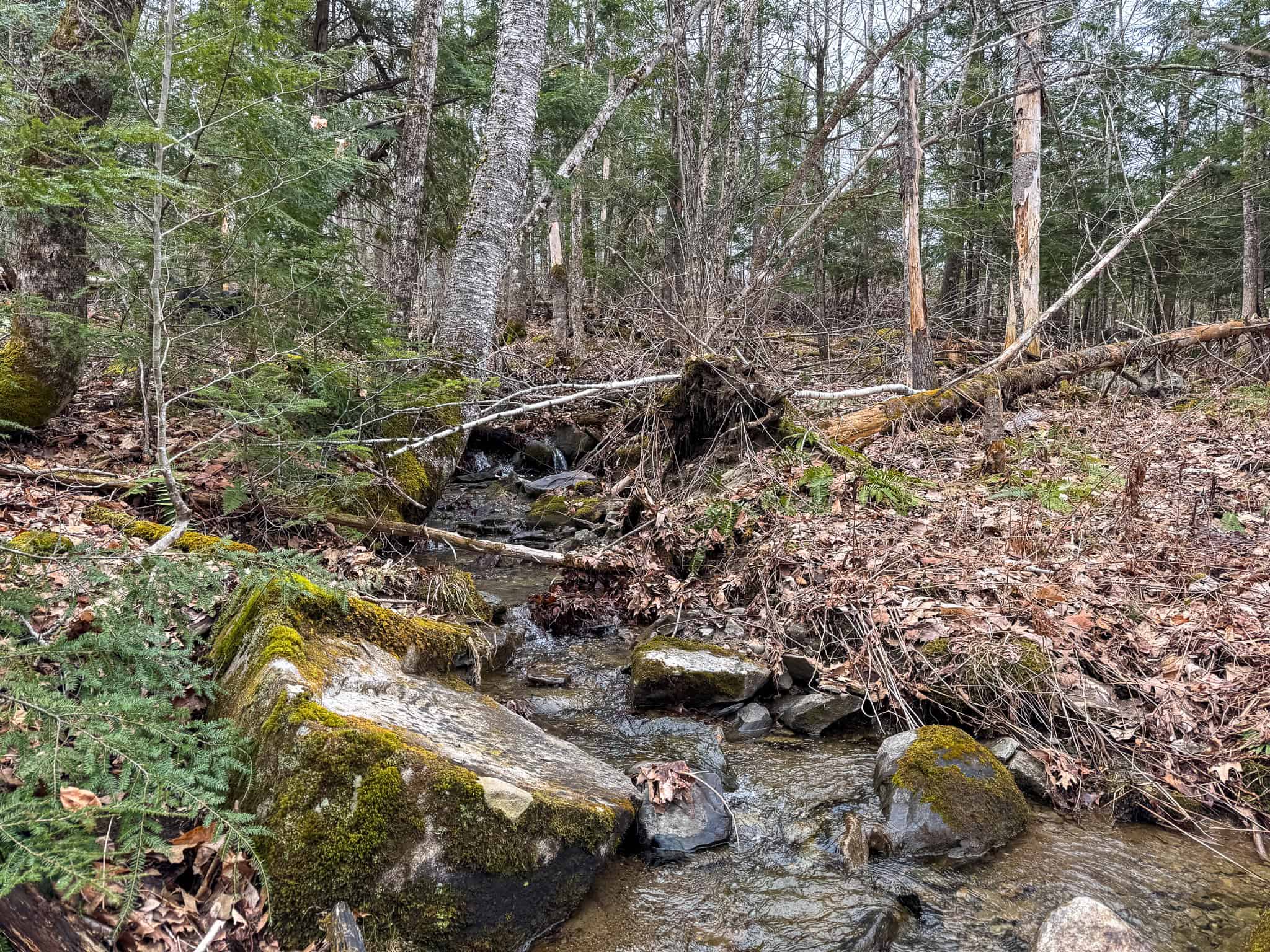 12 Acres with Potential in Monroe, Maine