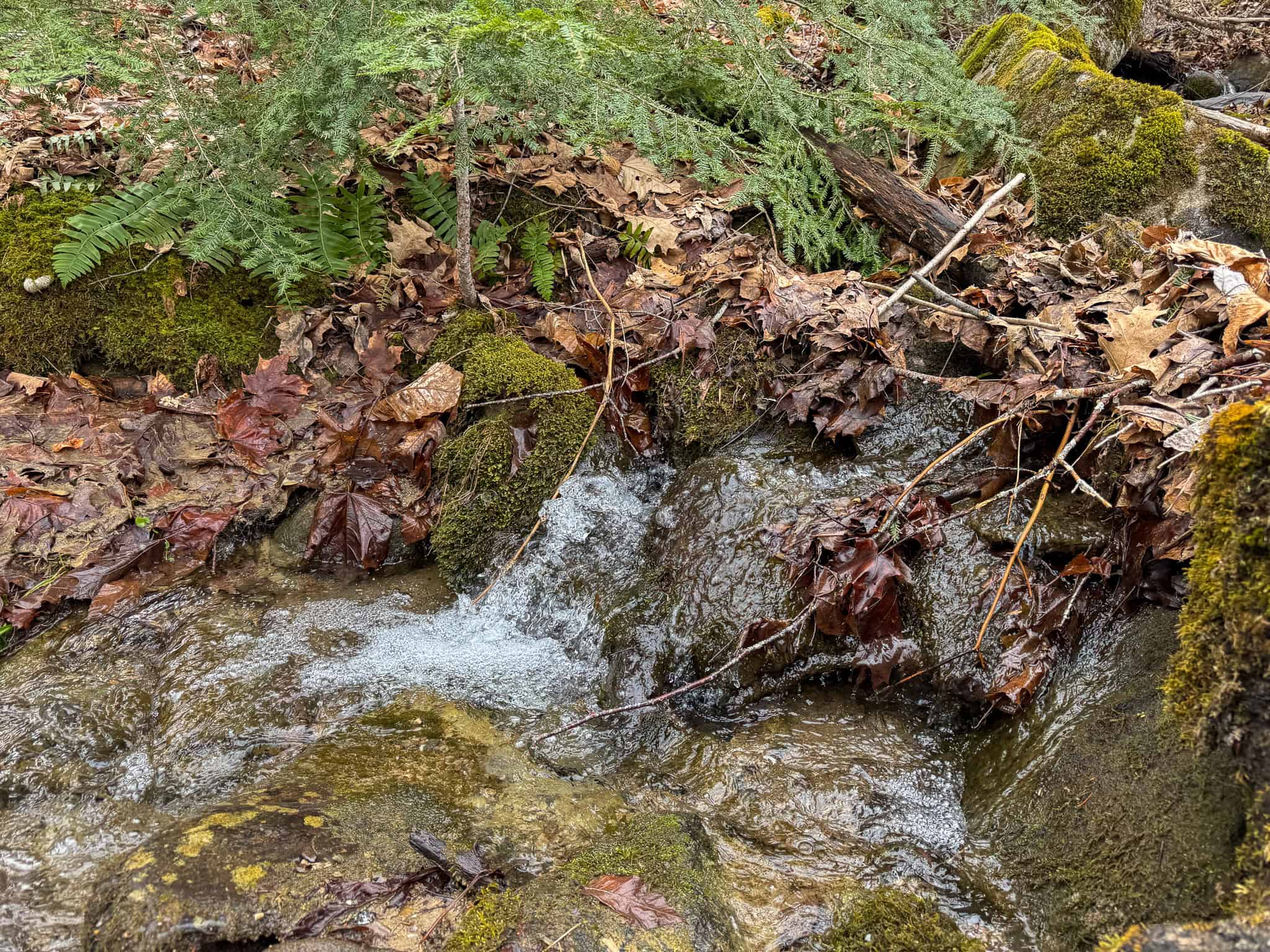12 Acres with Potential in Monroe, Maine