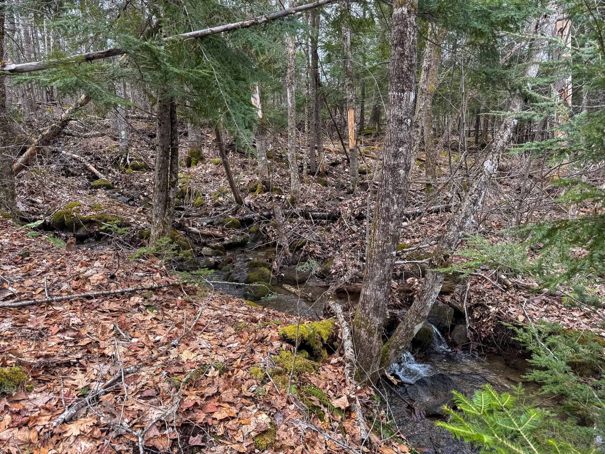 12 Acres with Potential in Monroe, Maine