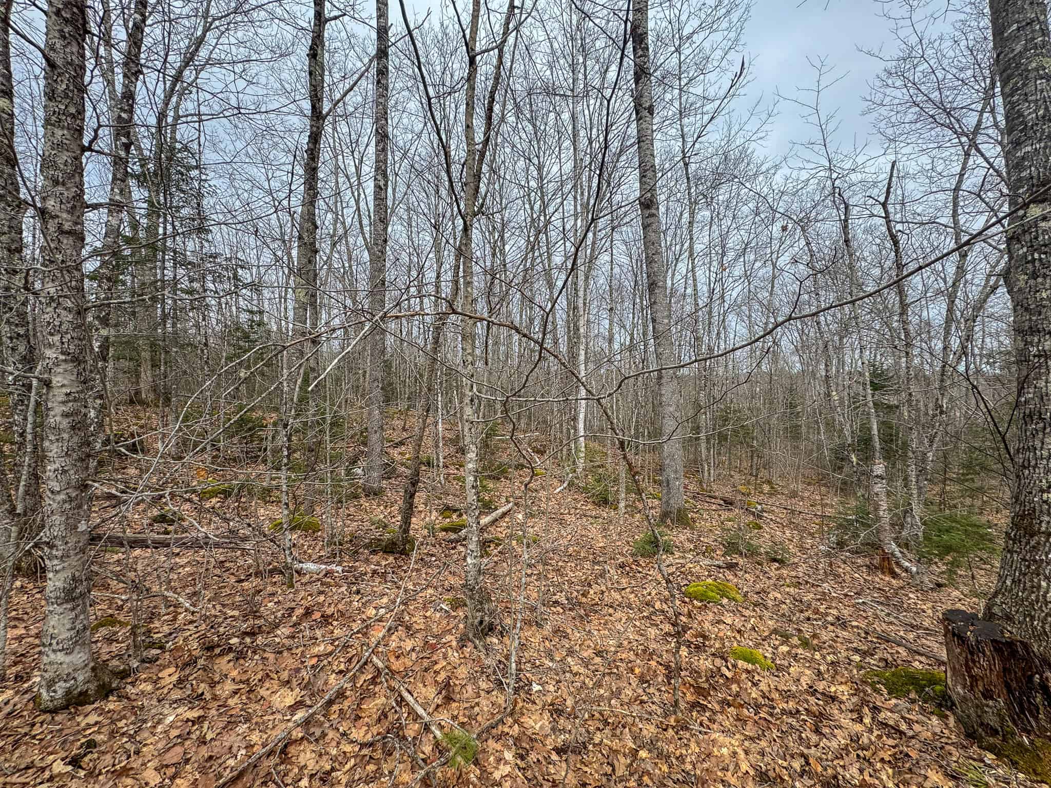 12 Acres with Potential in Monroe, Maine