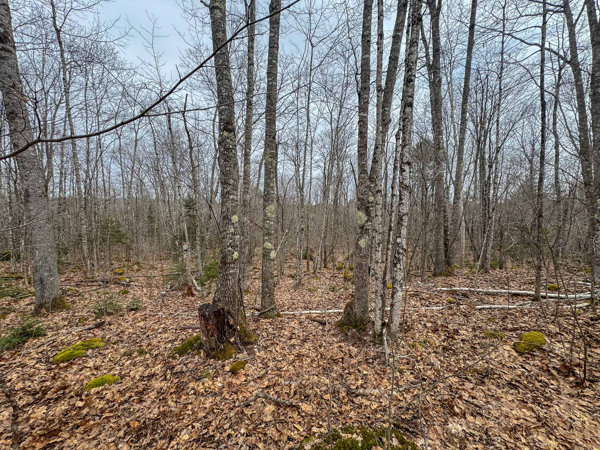 12 Acres with Potential in Monroe, Maine