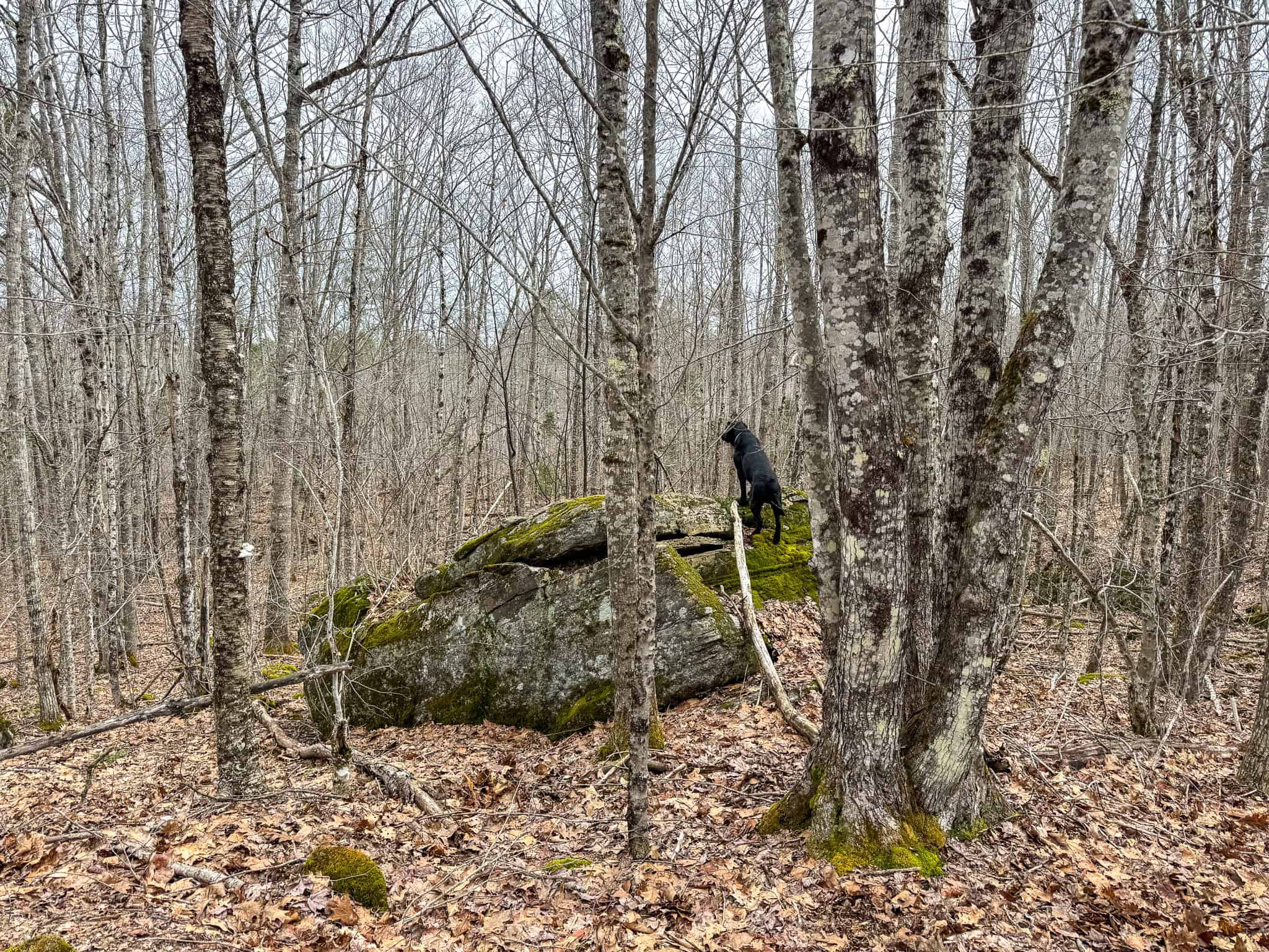 12 Acres with Potential in Monroe, Maine