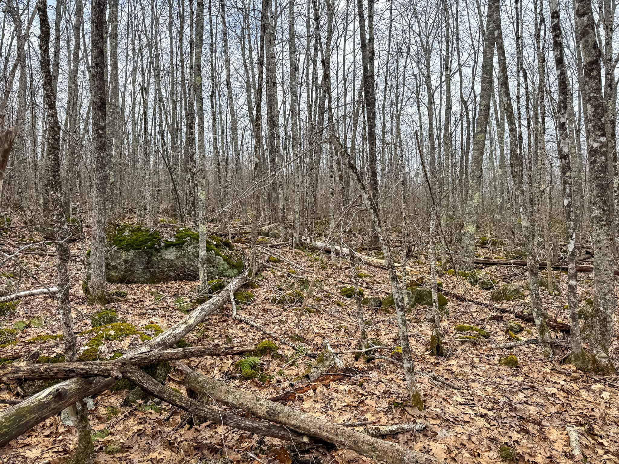 12 Acres with Potential in Monroe, Maine