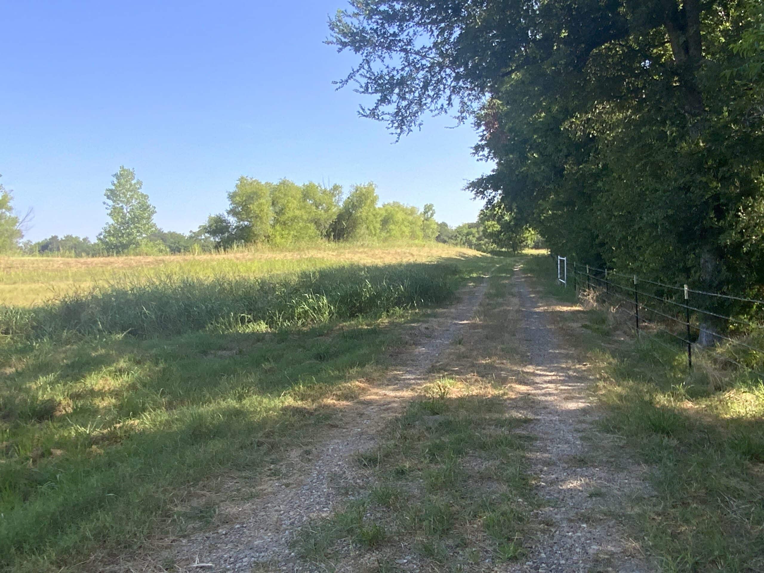 118 acre Delta County Hunting Retreat