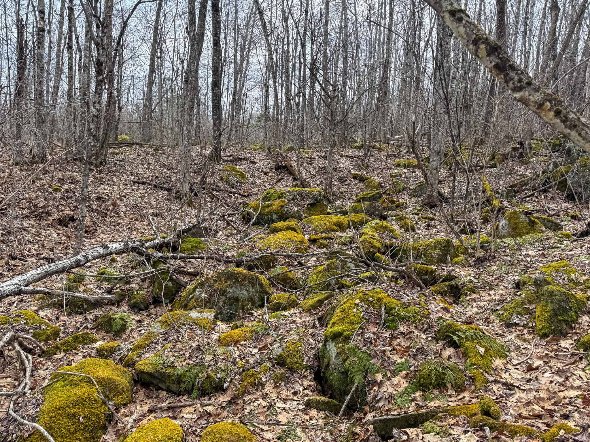 12 Acres with Potential in Monroe, Maine
