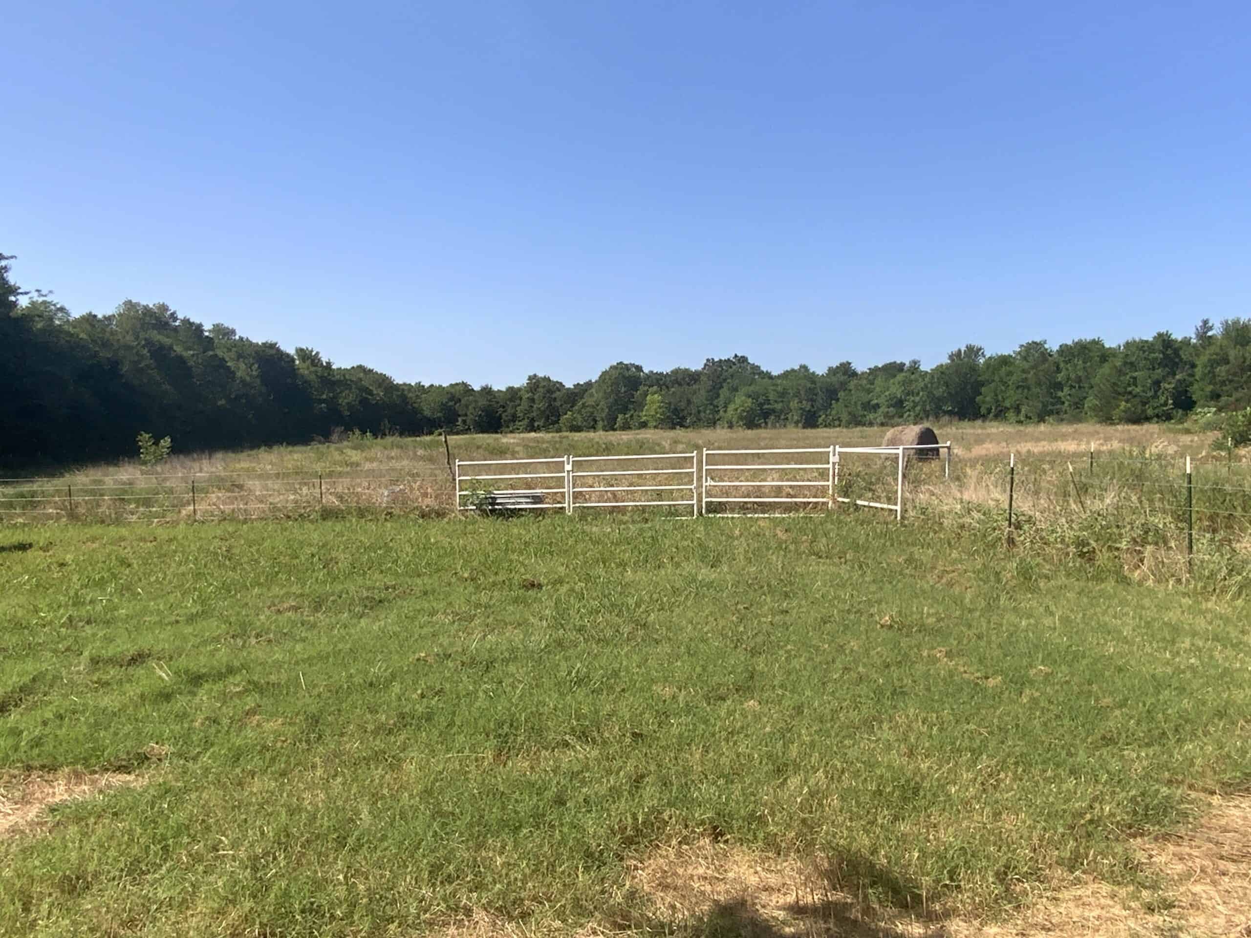118 acre Delta County Hunting Retreat