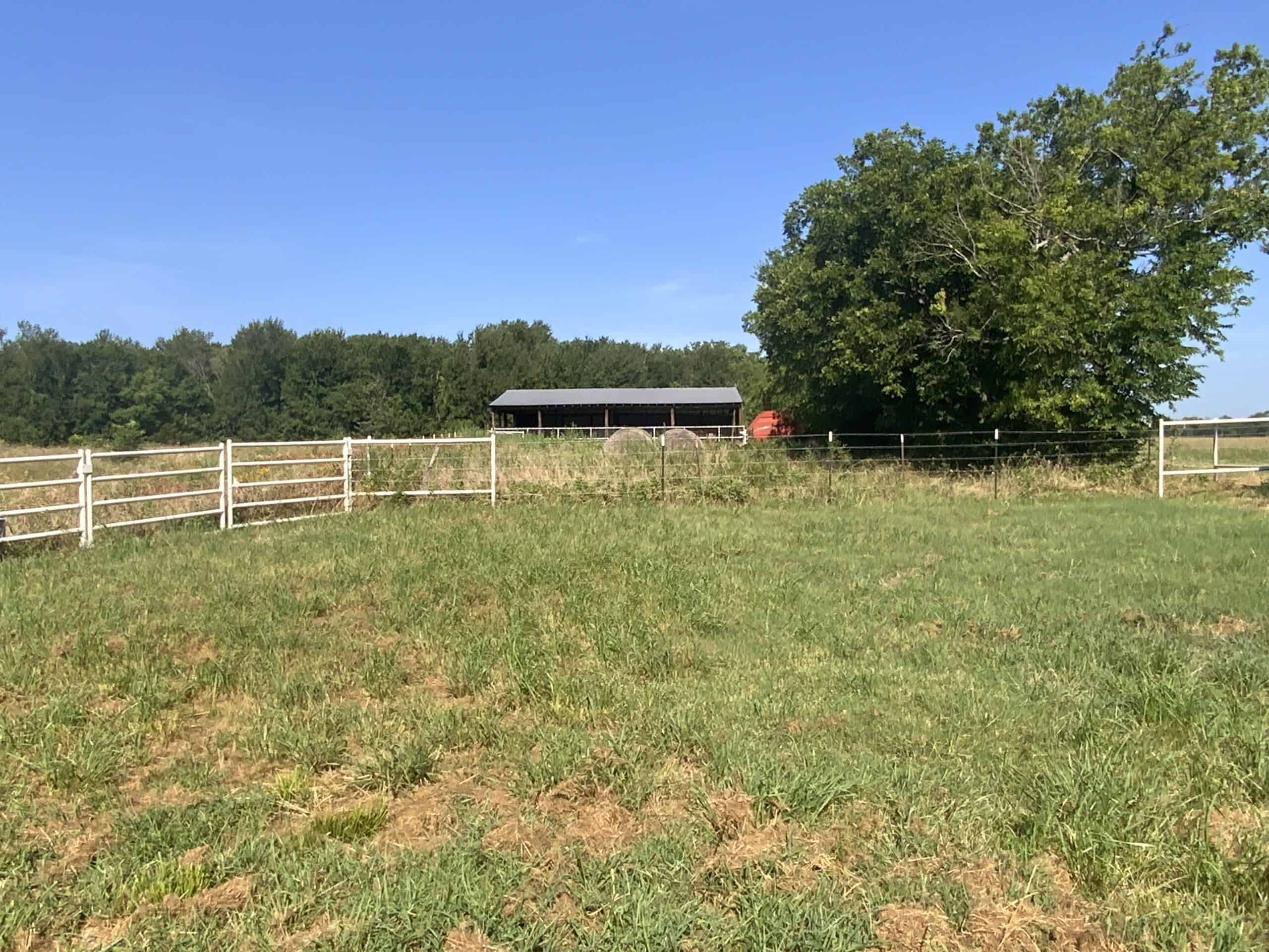 118 acre Delta County Hunting Retreat
