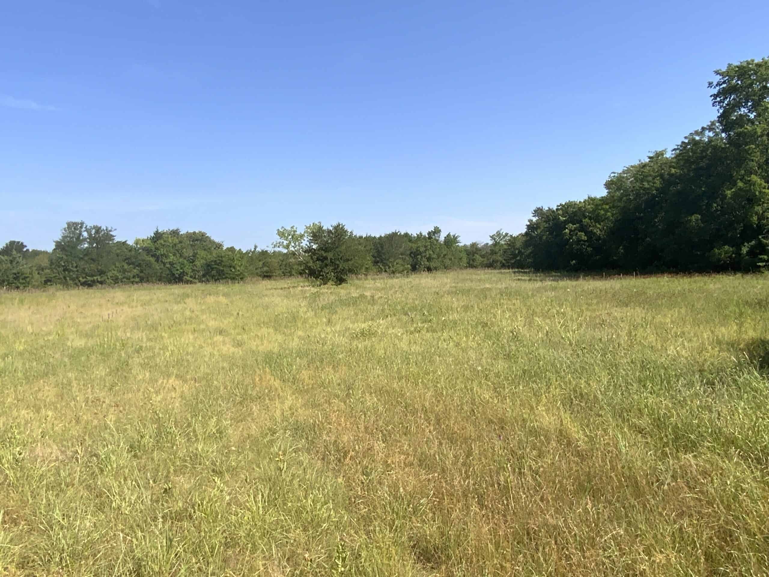 118 acre Delta County Hunting Retreat
