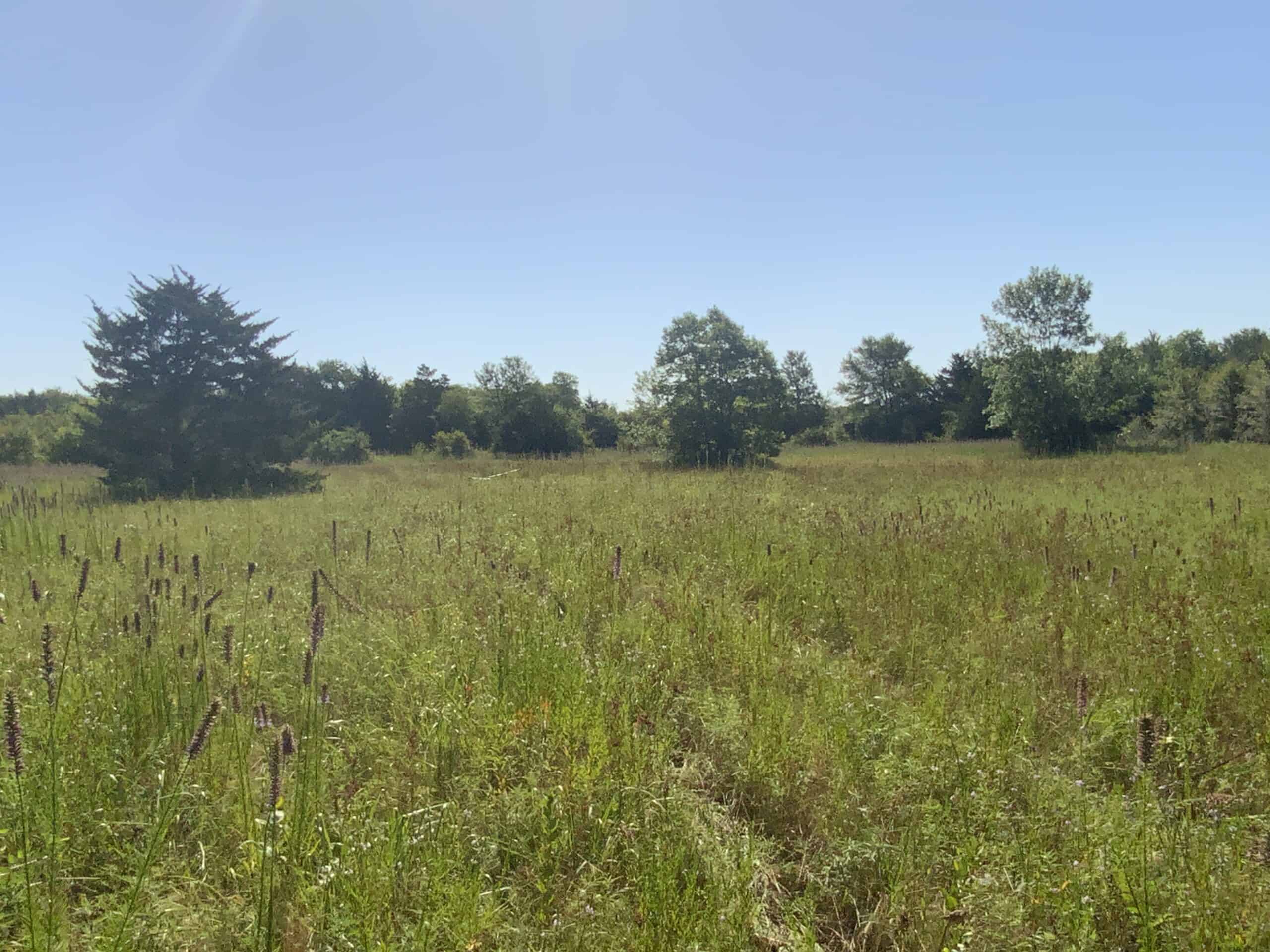 118 acre Delta County Hunting Retreat