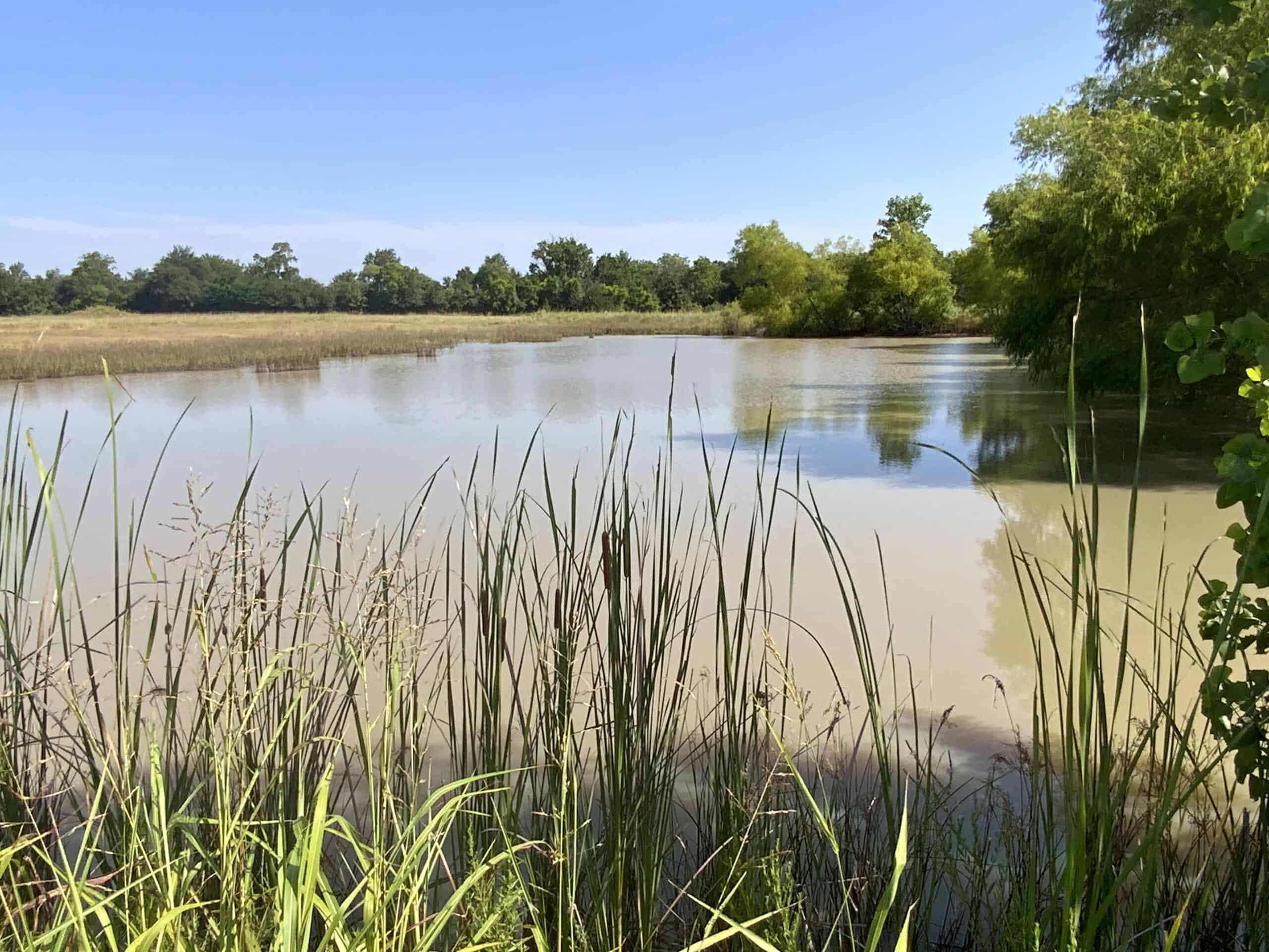 118 acre Delta County Hunting Retreat