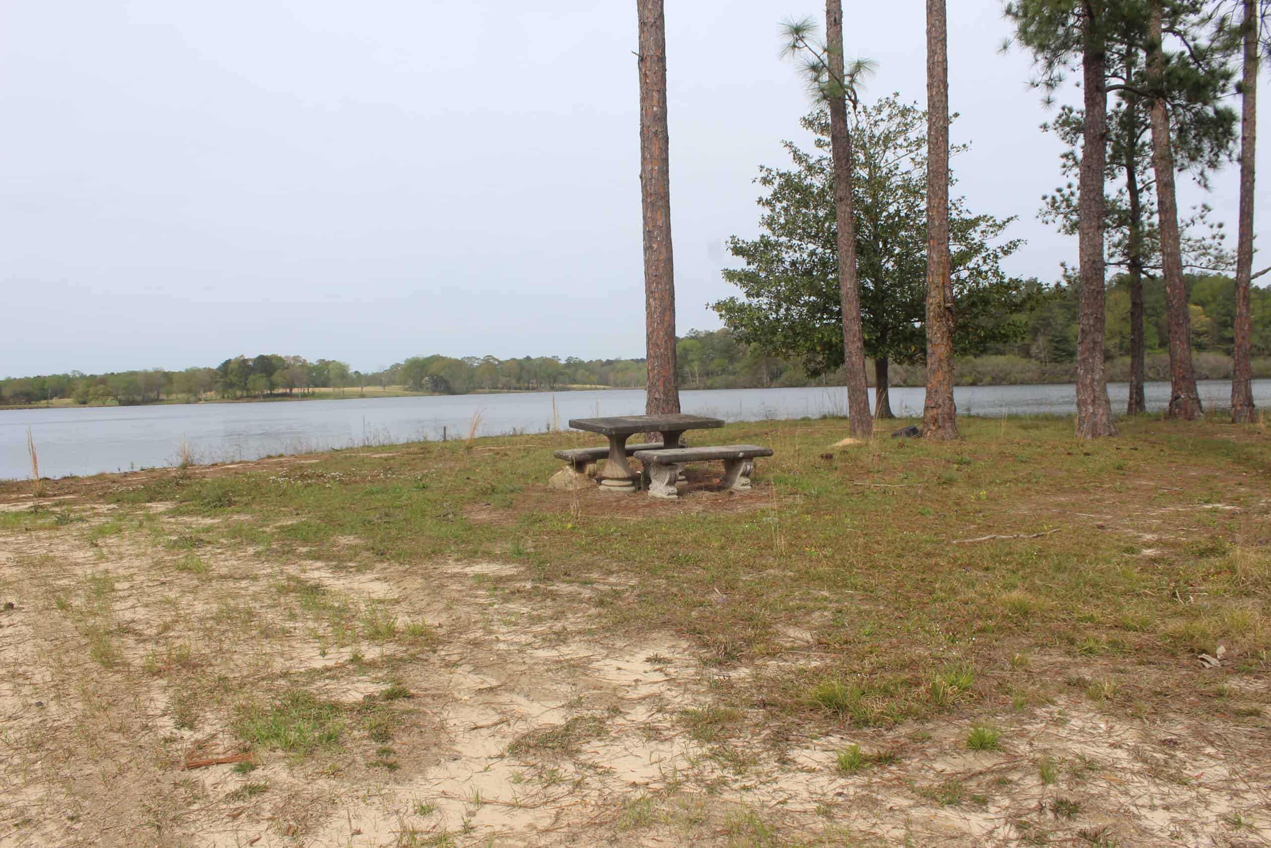 An Outdoorsman’s Paradise 719 Acres with 110 Acre Lake and Custom Built Home Pearl River County Mississippi