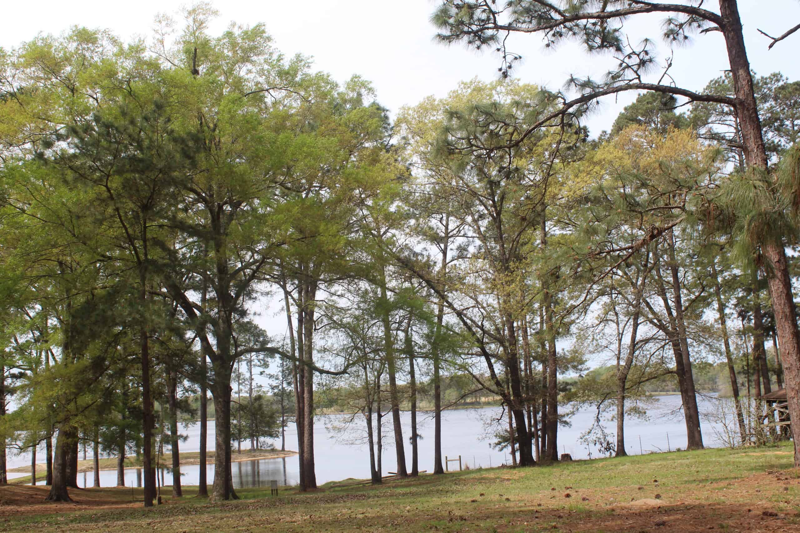 An Outdoorsman’s Paradise 719 Acres with 110 Acre Lake and Custom Built Home Pearl River County Mississippi
