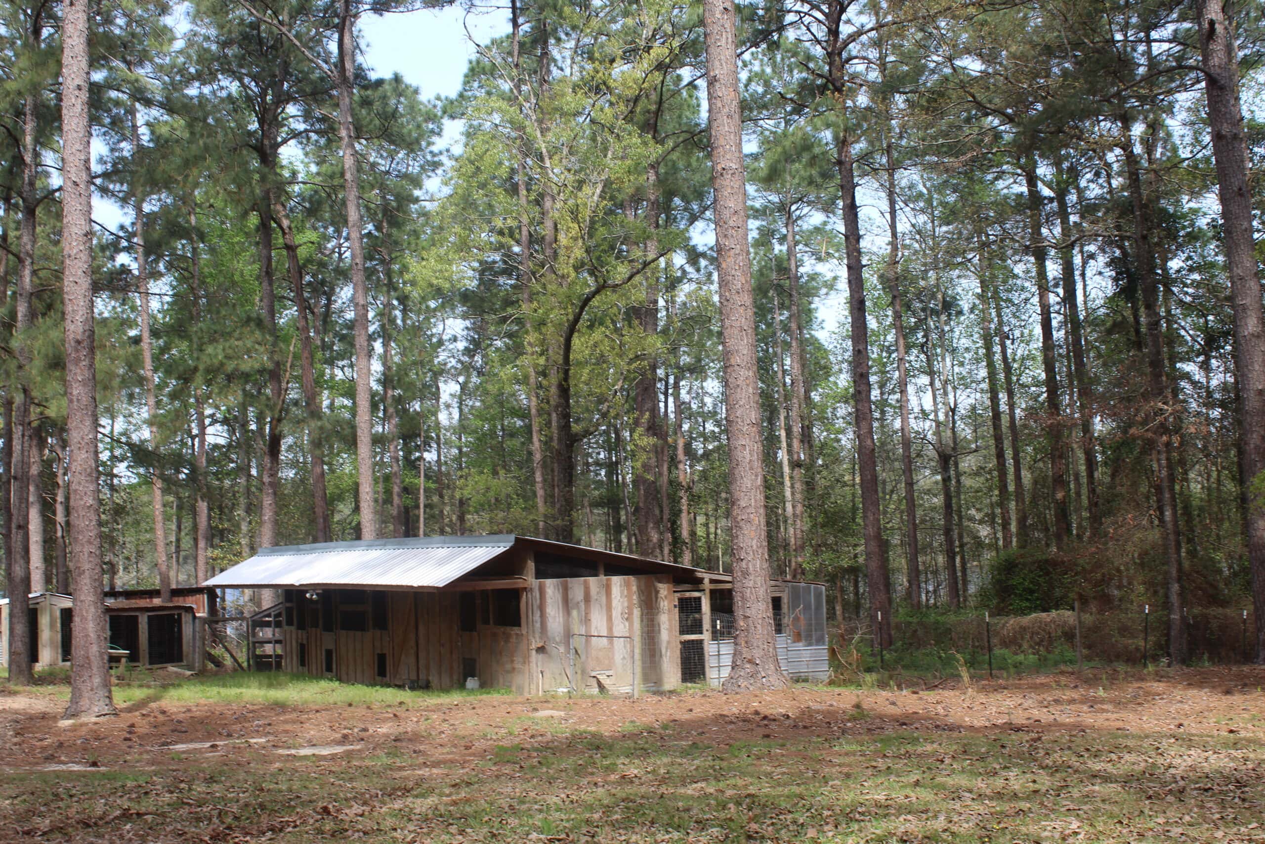 An Outdoorsman’s Paradise 719 Acres with 110 Acre Lake and Custom Built Home Pearl River County Mississippi