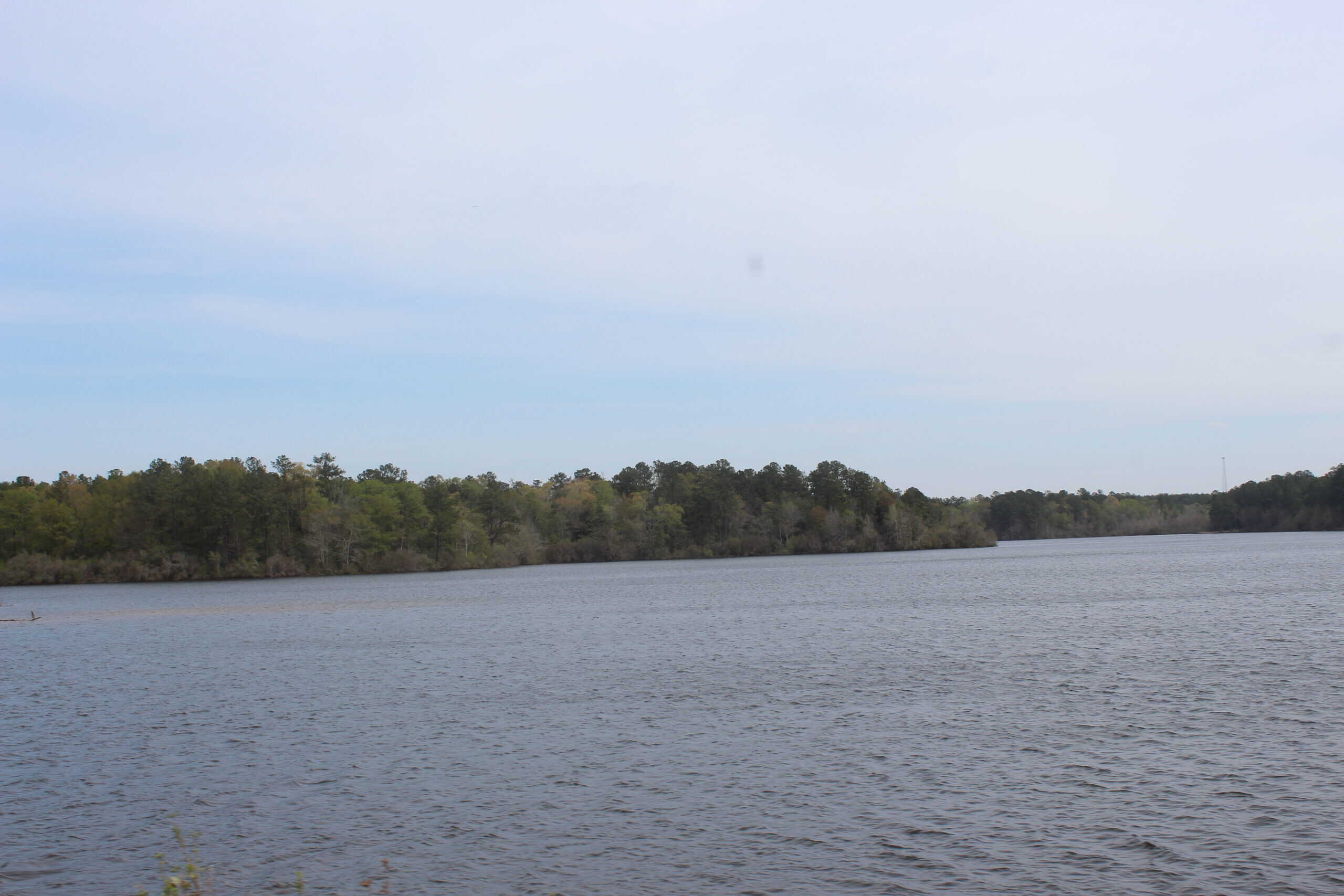 An Outdoorsman’s Paradise 719 Acres with 110 Acre Lake and Custom Built Home Pearl River County Mississippi