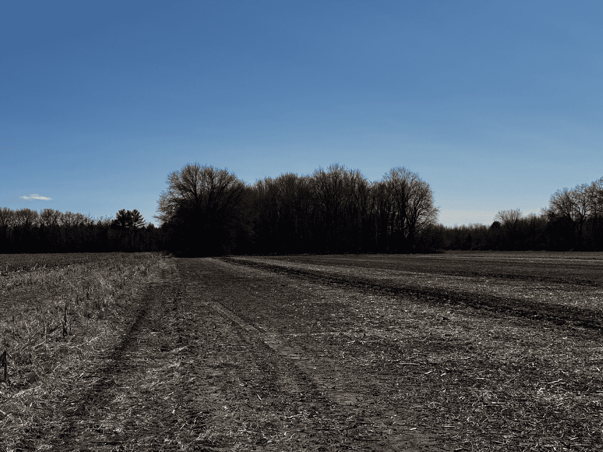 66.48 Acres located in the Town of Lewiston Columbia County