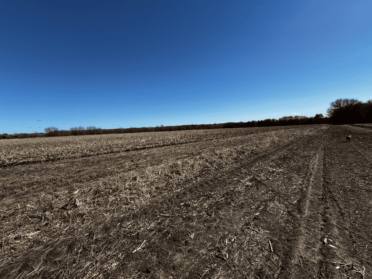 66.48 Acres located in the Town of Lewiston Columbia County