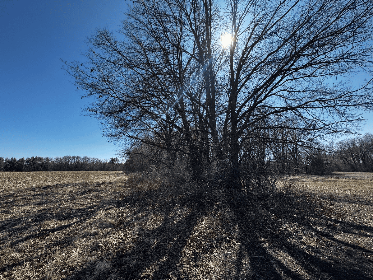 66.48 Acres located in the Town of Lewiston Columbia County