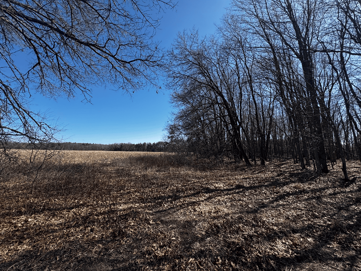 66.48 Acres located in the Town of Lewiston Columbia County