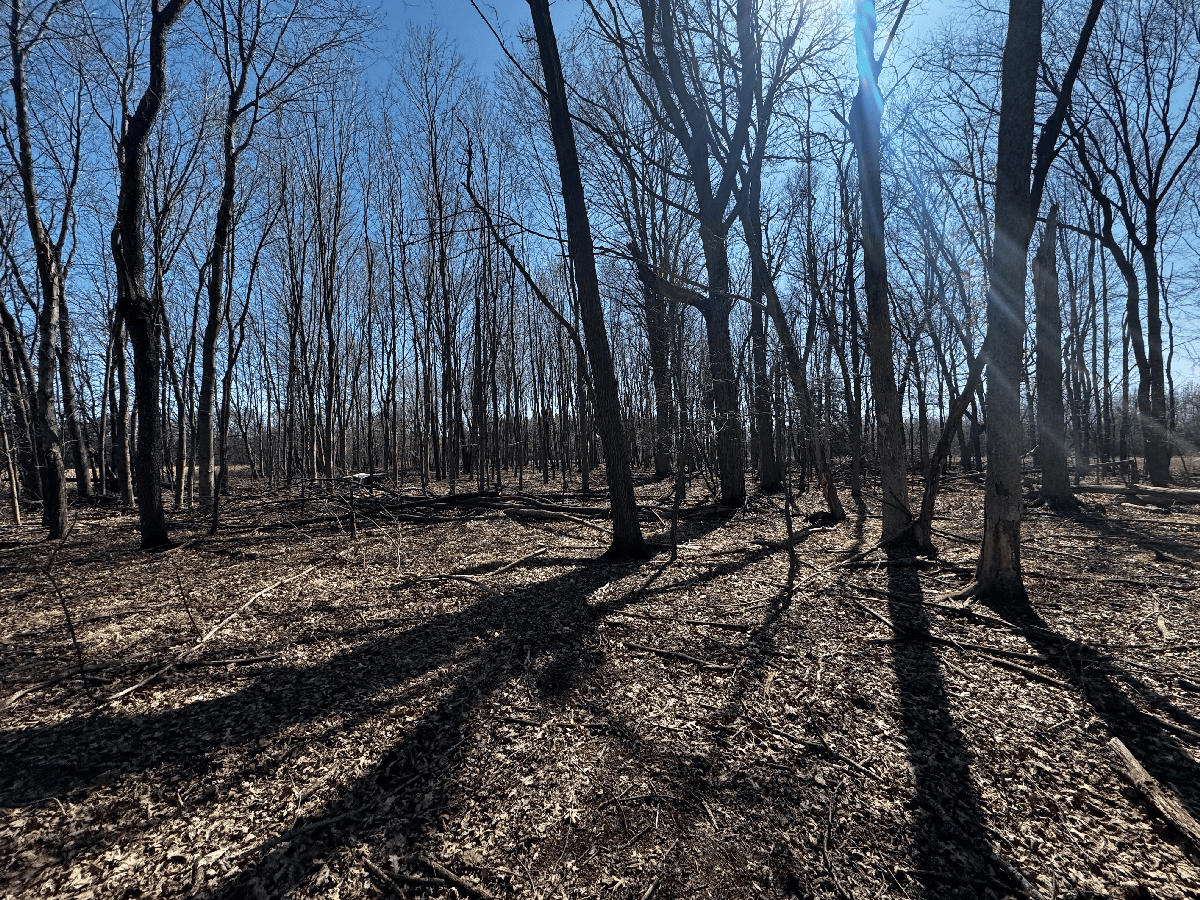 66.48 Acres located in the Town of Lewiston Columbia County