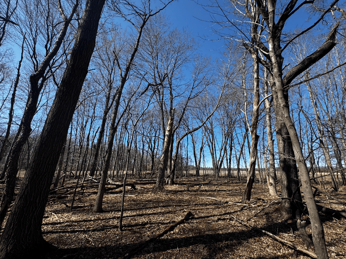 66.48 Acres located in the Town of Lewiston Columbia County