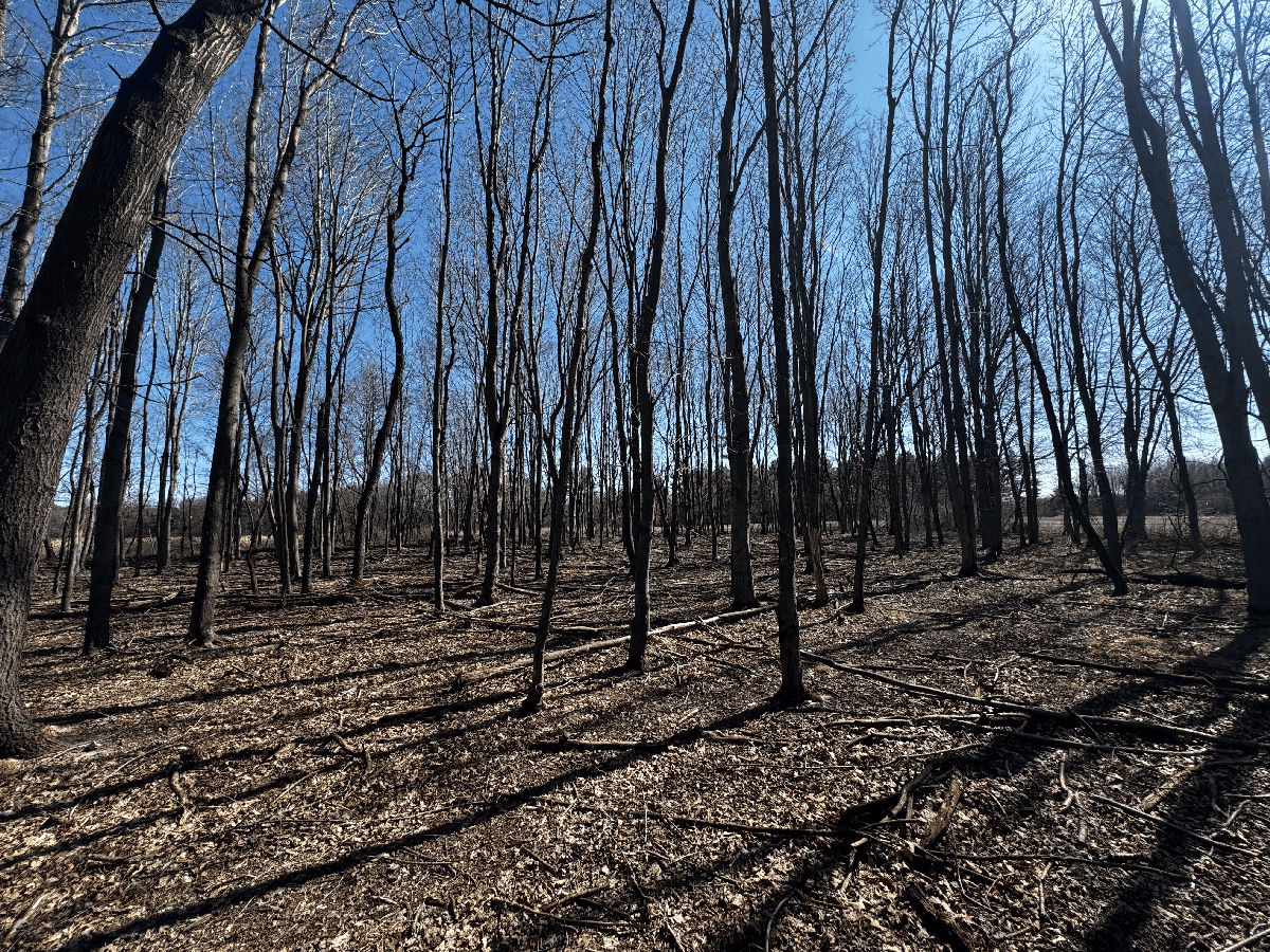 66.48 Acres located in the Town of Lewiston Columbia County