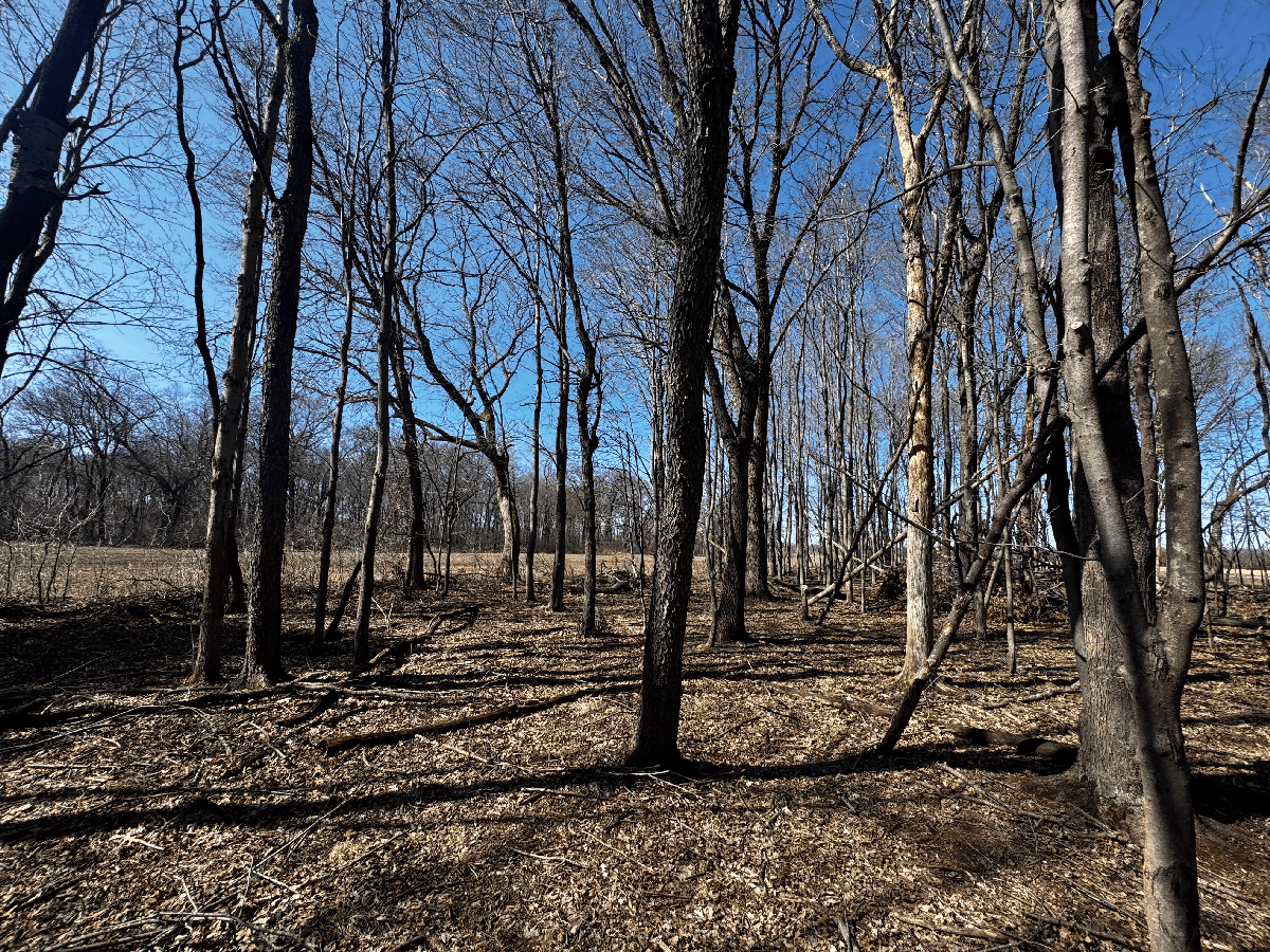 66.48 Acres located in the Town of Lewiston Columbia County