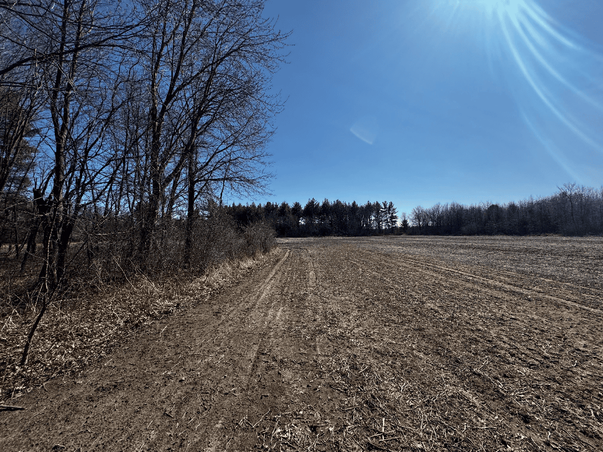 66.48 Acres located in the Town of Lewiston Columbia County